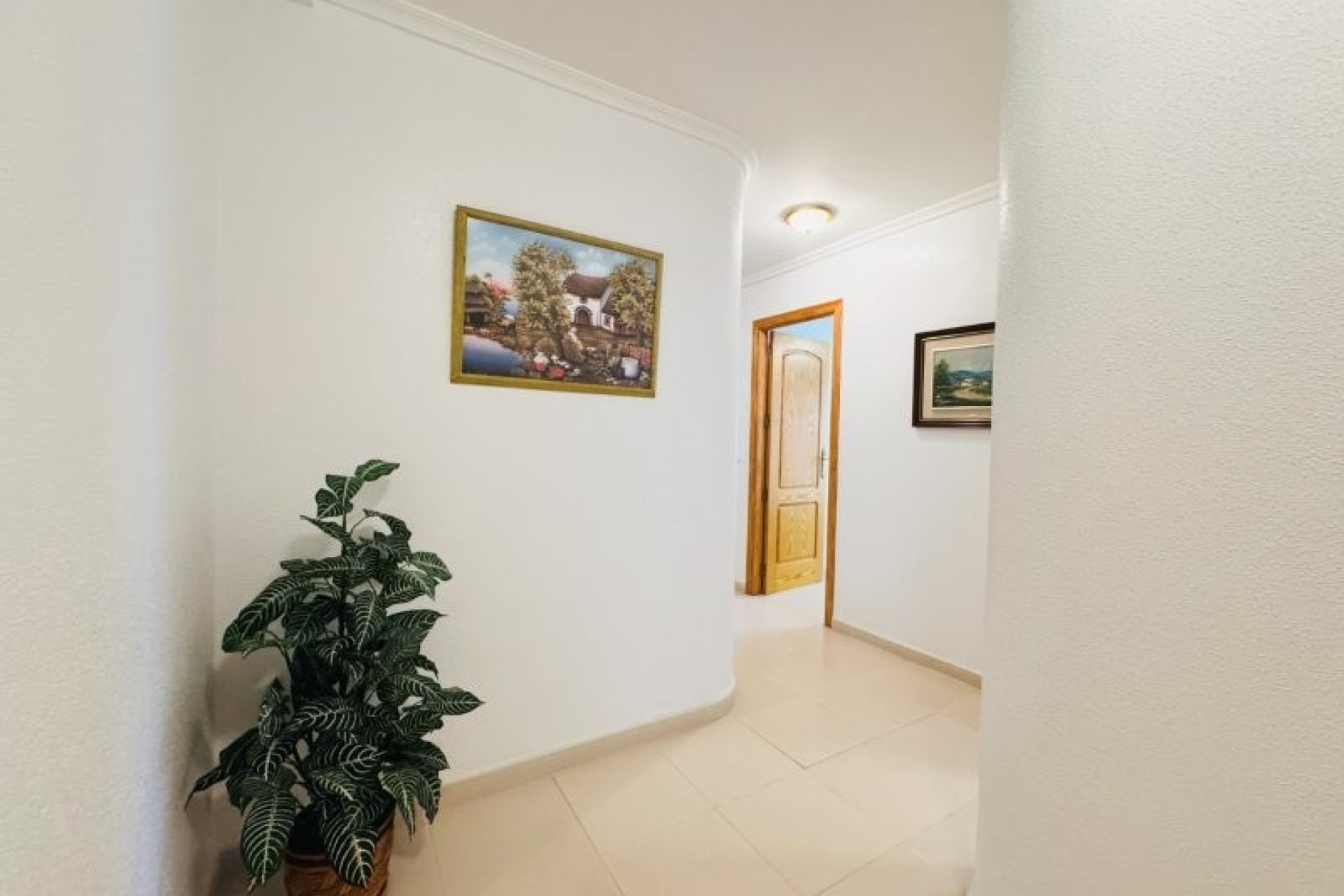 Herverkoop - Apartment / flat - Torrevieja - Torrelamata - La Mata