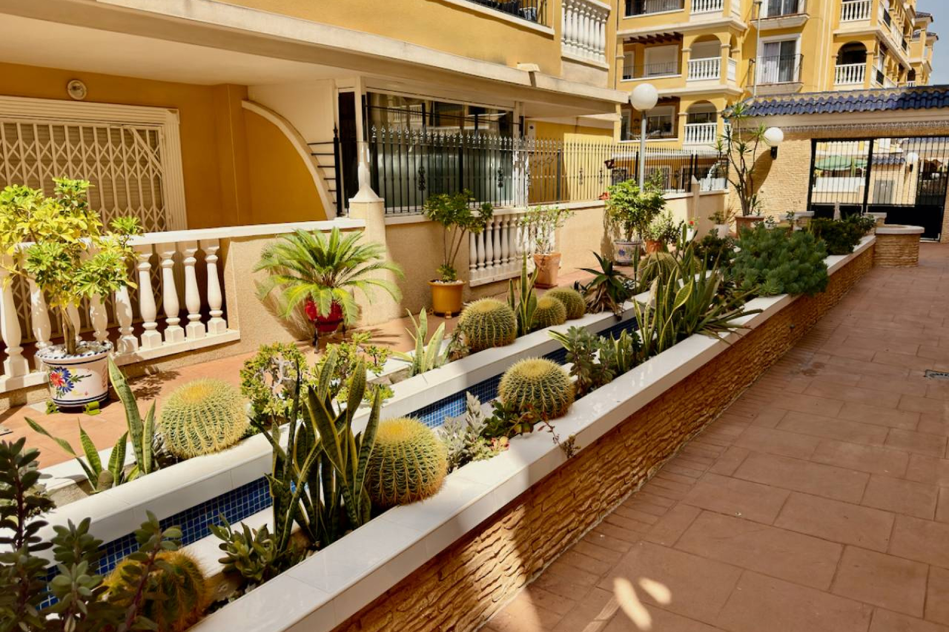 Herverkoop - Appartement  - Algorfa