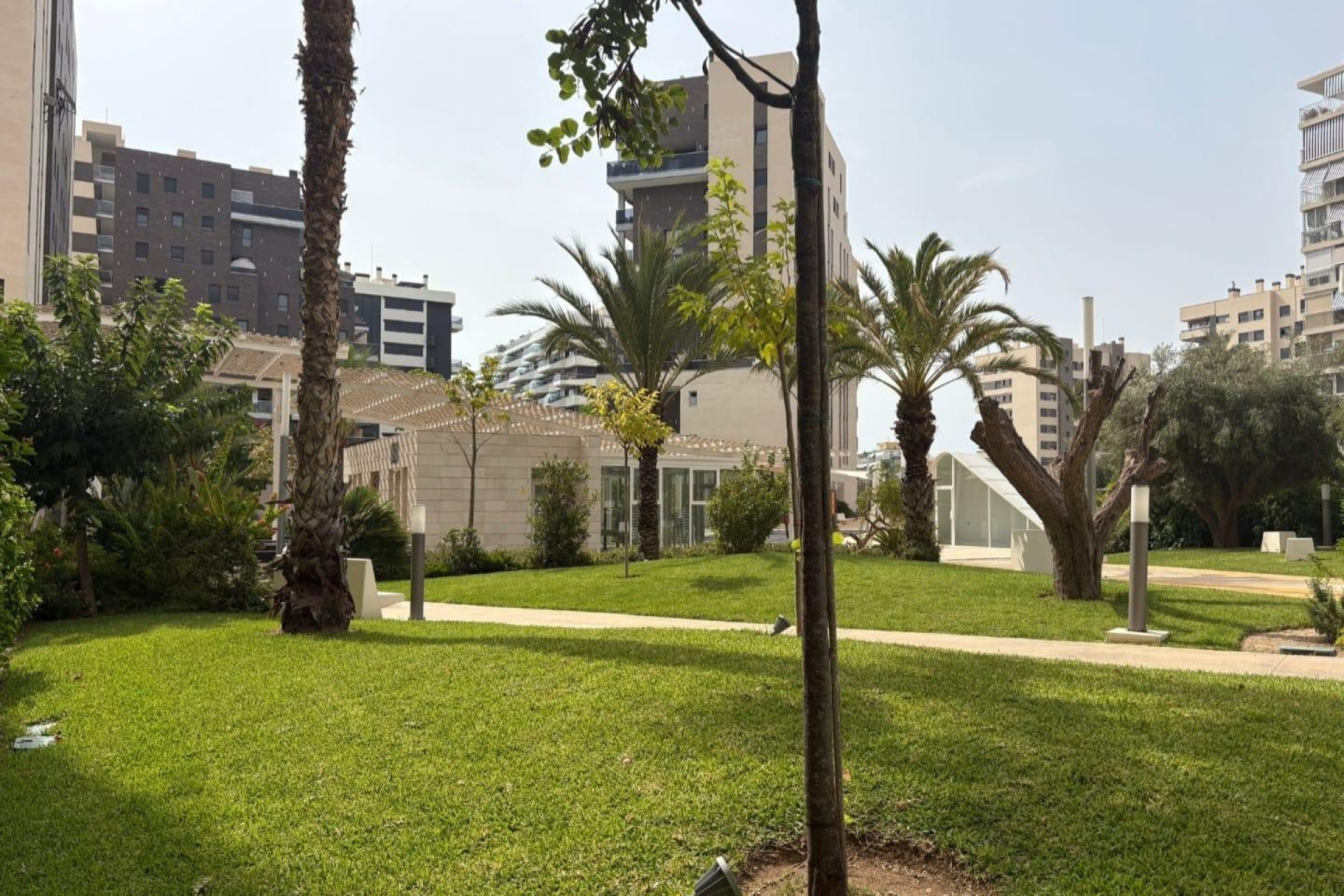 Herverkoop - Appartement  - Alicante - Pau V