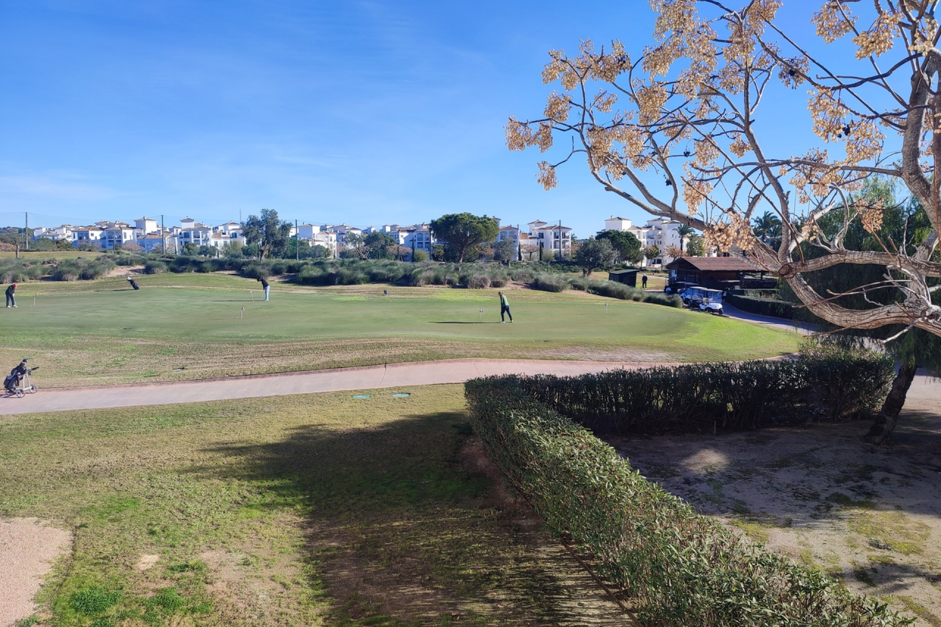 Herverkoop - Appartement  - Hacienda Riquelme Golf Resort - Hacienda Riquelme Golf Resort - Centre