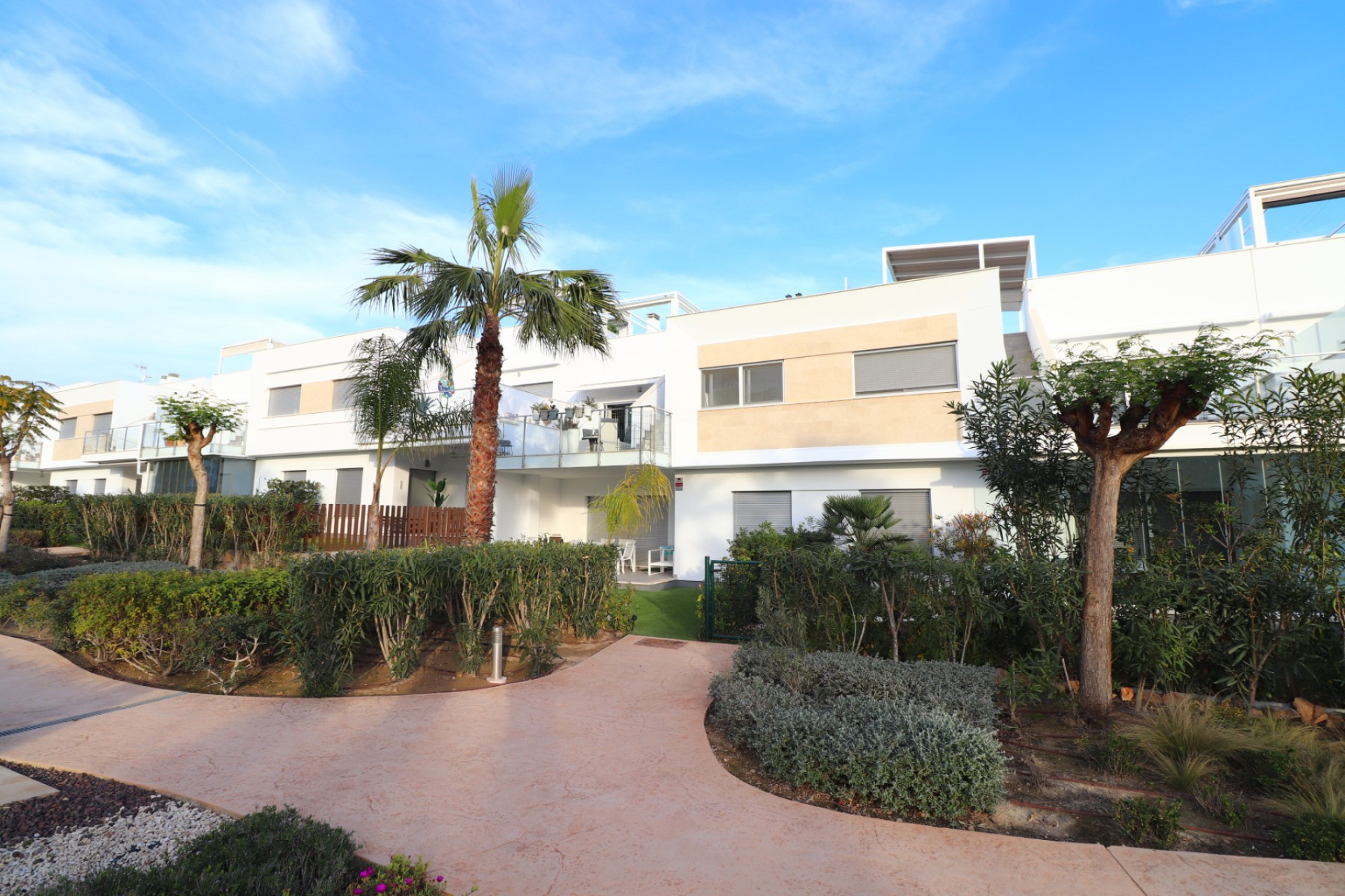 Herverkoop - Appartement  - Los Montesinos - Entre Naranjos / Vistabella Golf