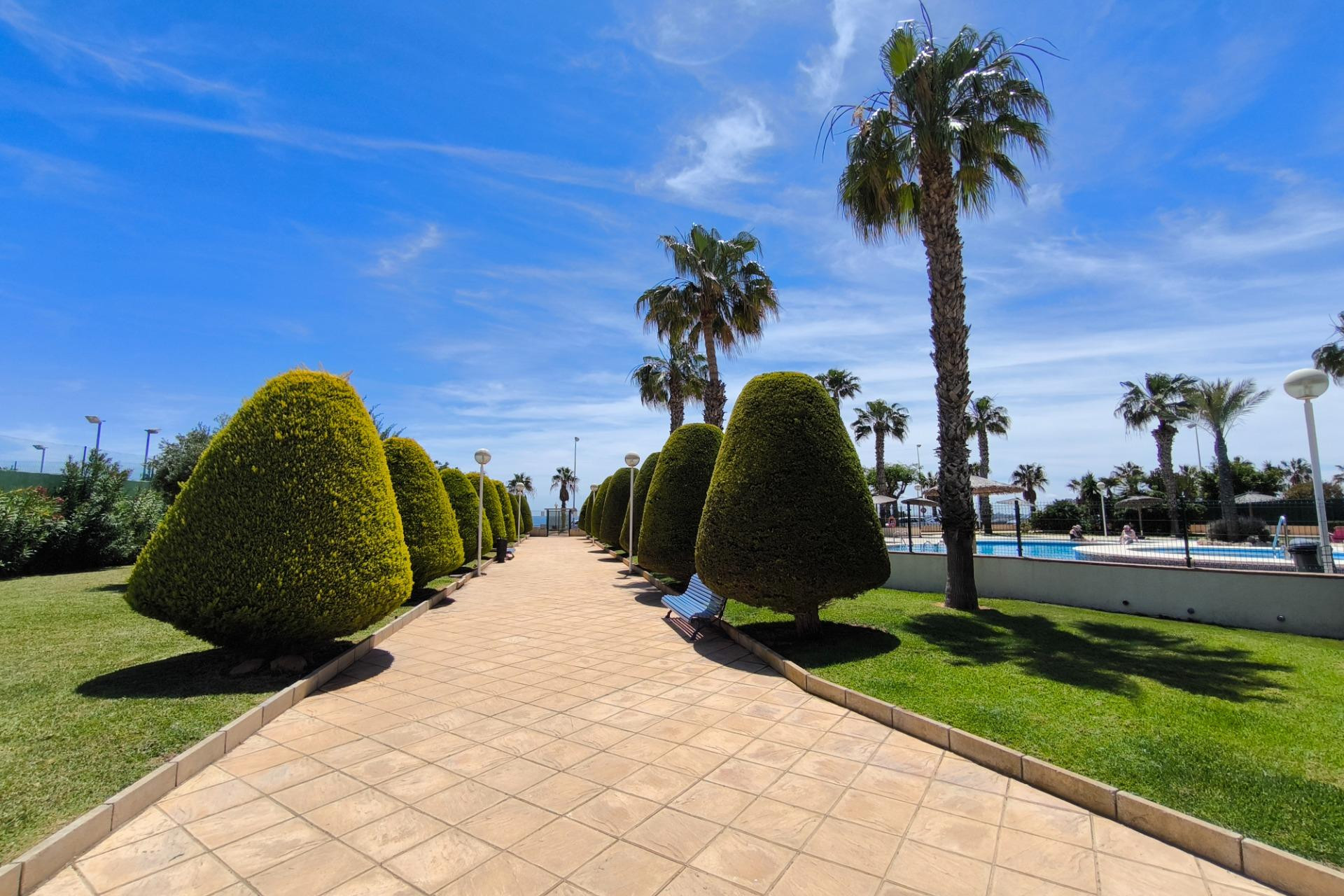 Herverkoop - Appartement  - Orihuela Costa - Agua Marina