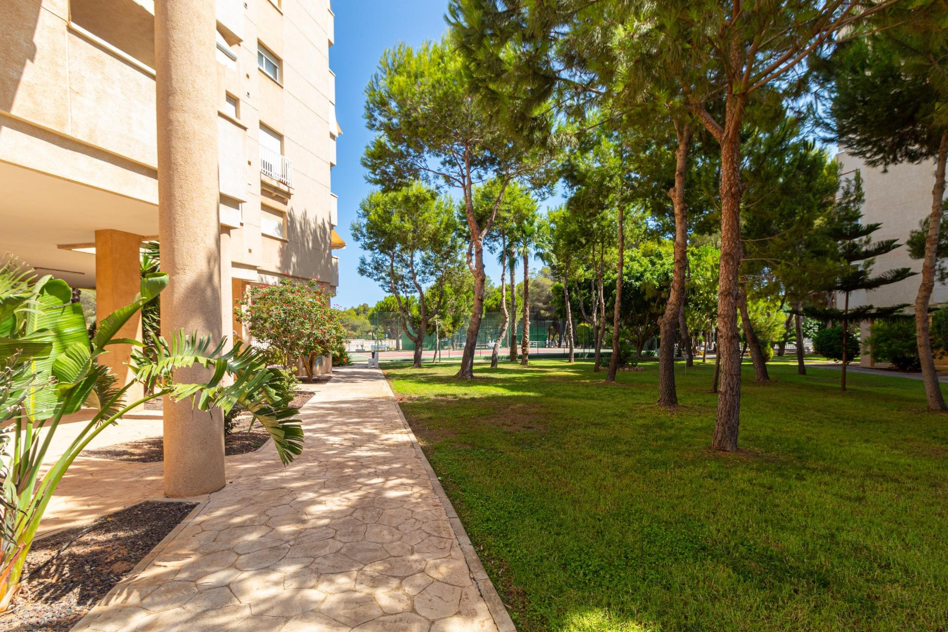 Herverkoop - Appartement  - Orihuela Costa - Campoamor