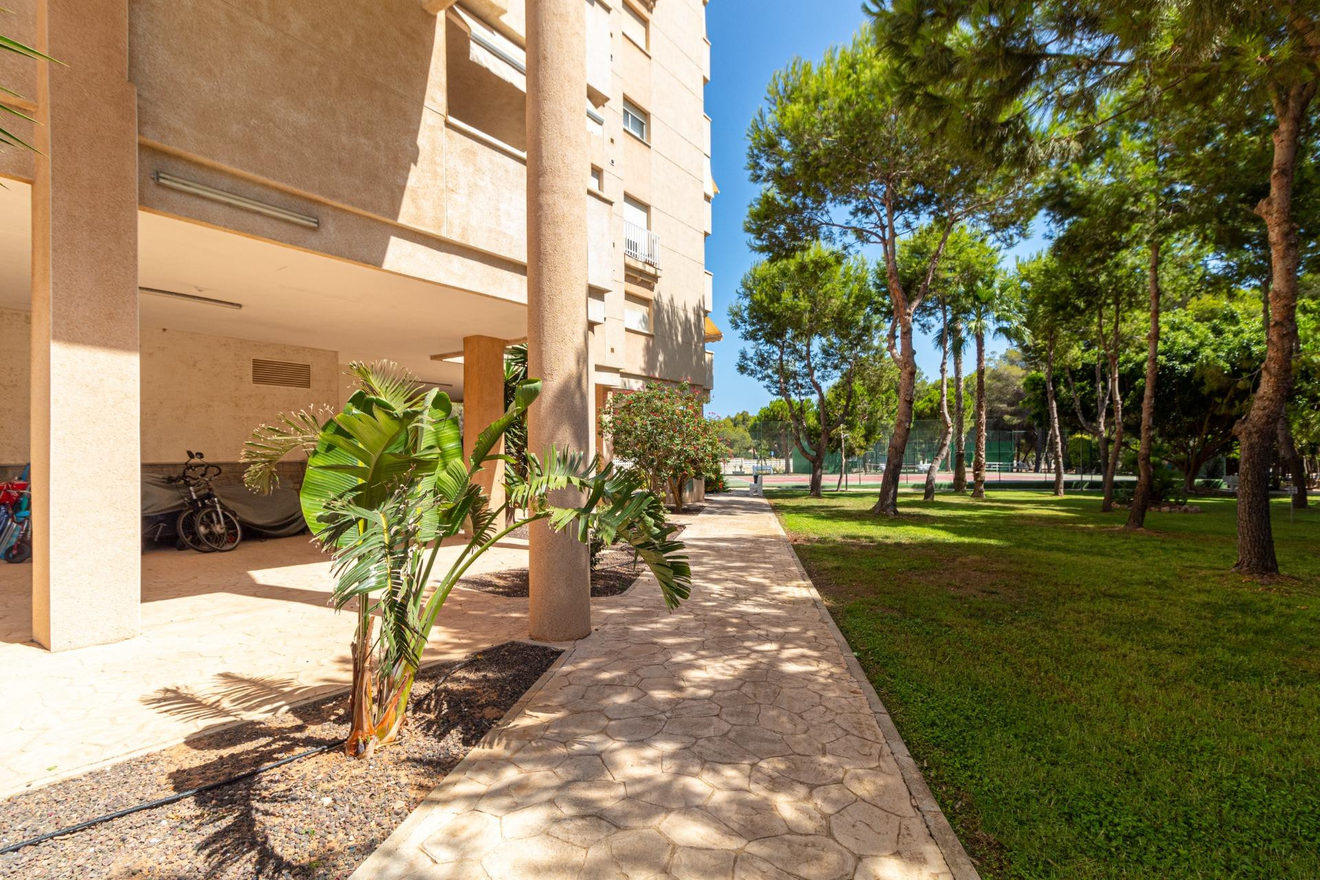 Herverkoop - Appartement  - Orihuela Costa - Campoamor