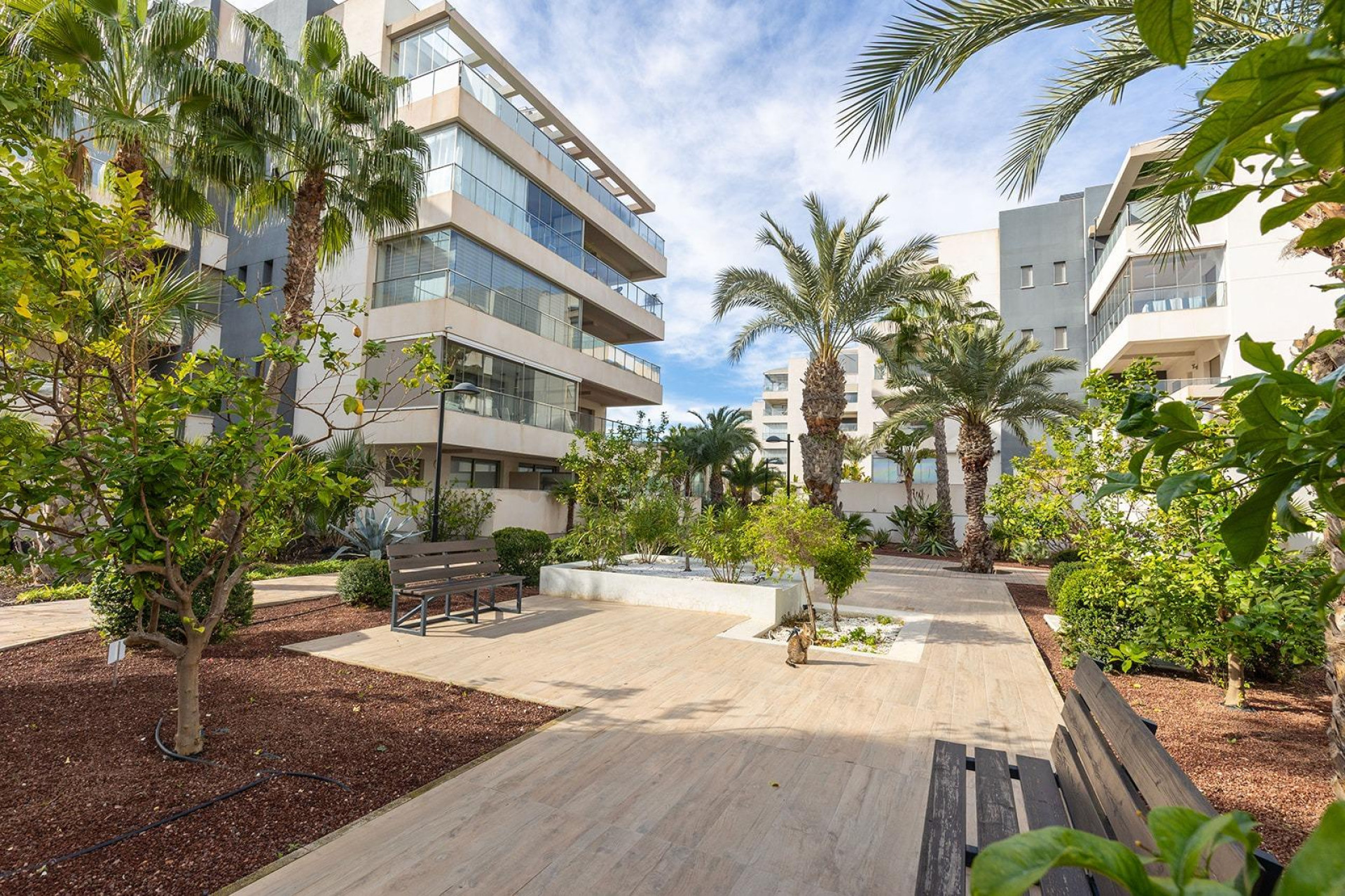 Herverkoop - Appartement  - Orihuela Costa - Los Dolses