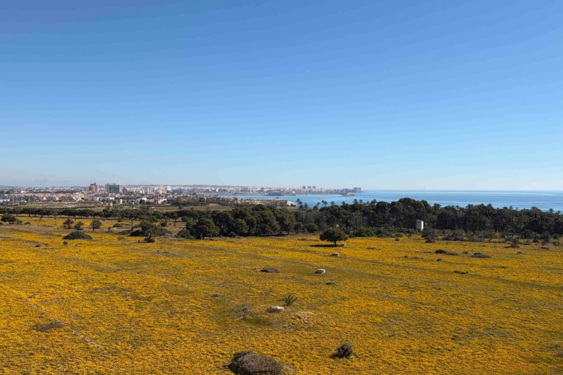 Herverkoop - Appartement  - Orihuela Costa - Punta Prima