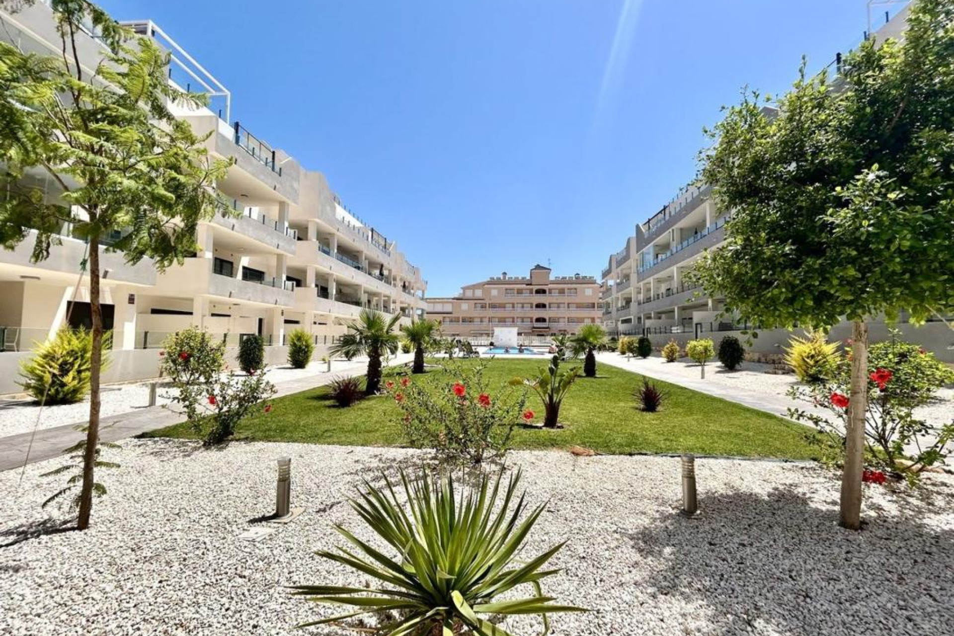Herverkoop - Appartement  - Orihuela