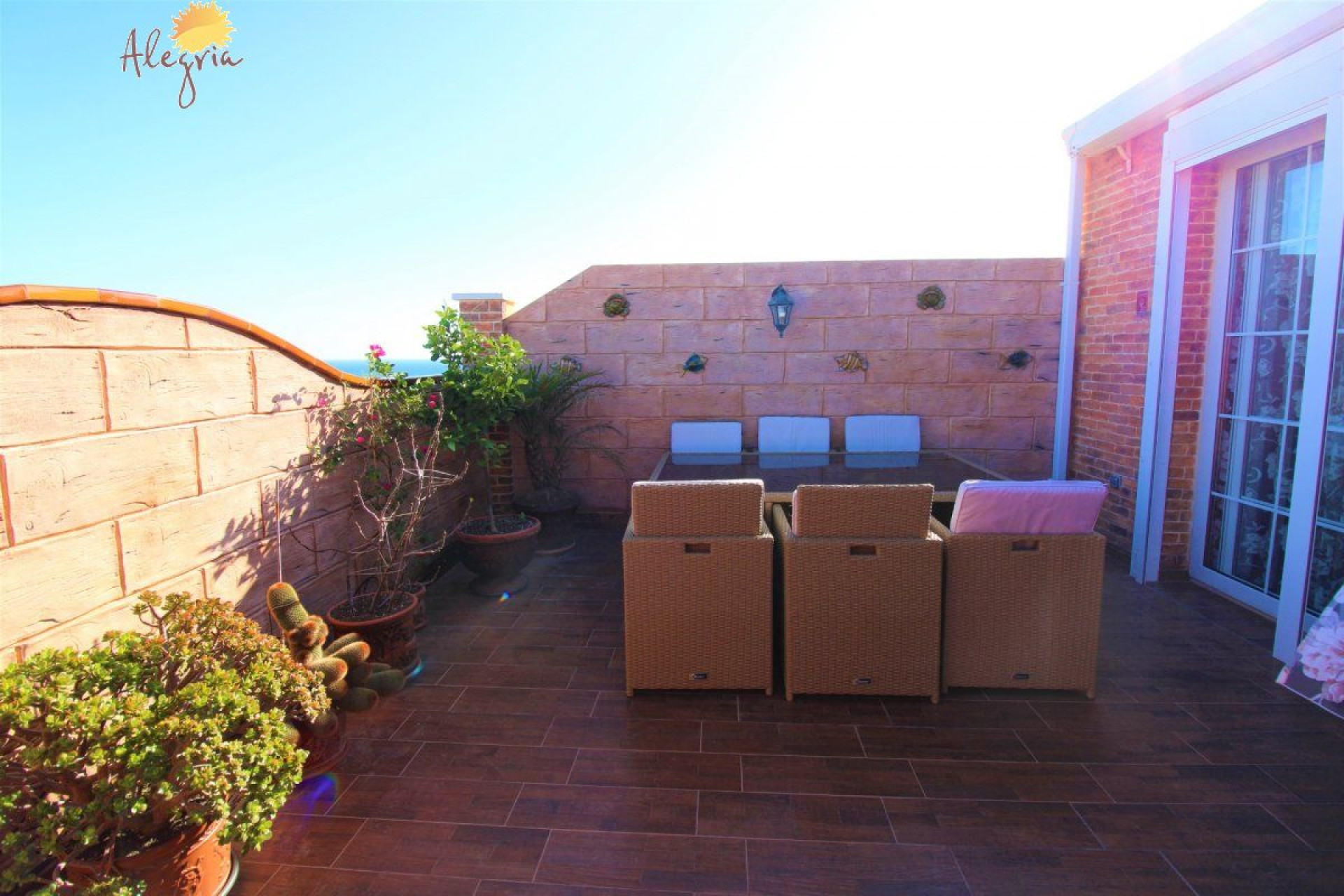 Herverkoop - Appartement  - Torrevieja - Aguas nuevas 1