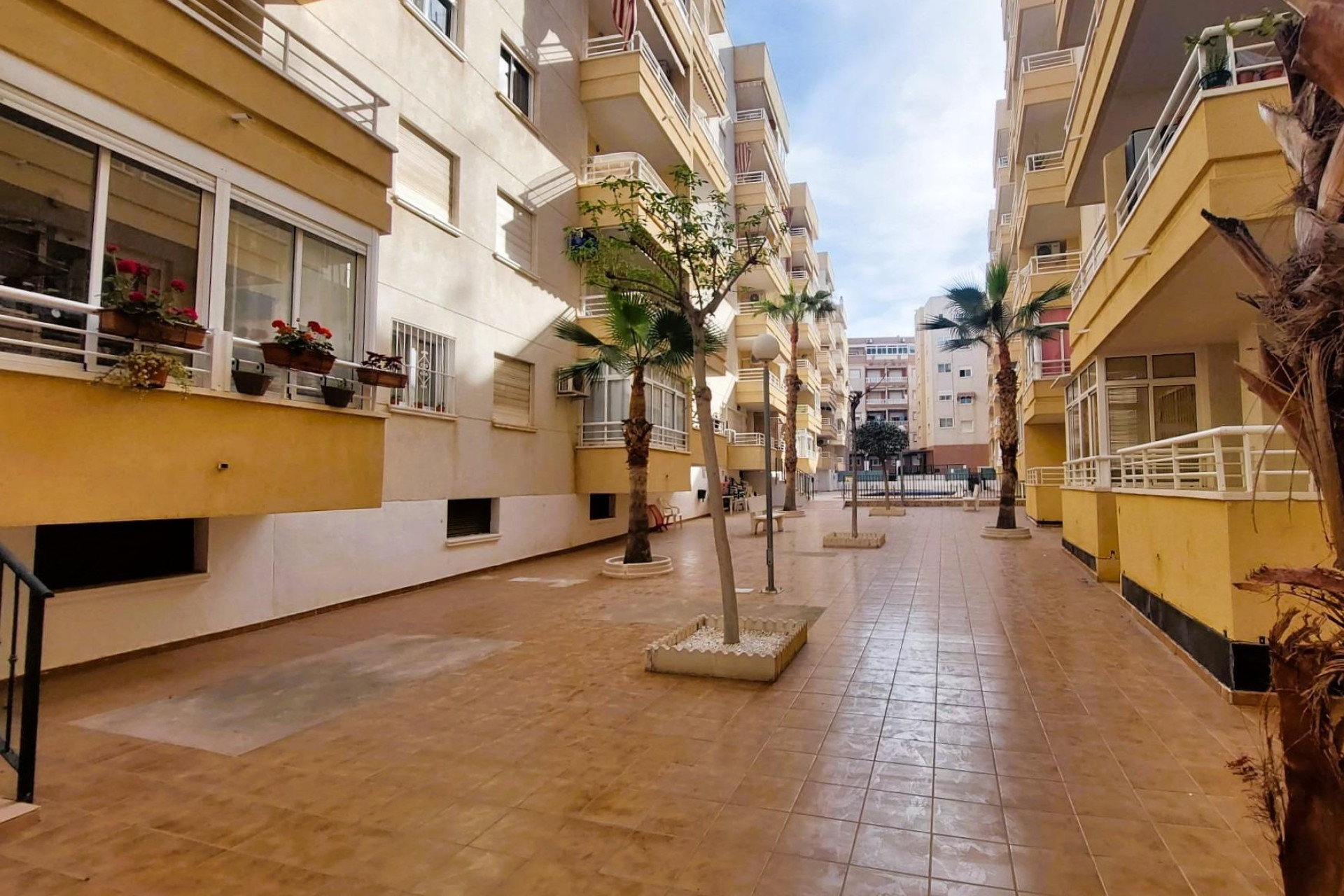 Herverkoop - Appartement  - Torrevieja - Centro