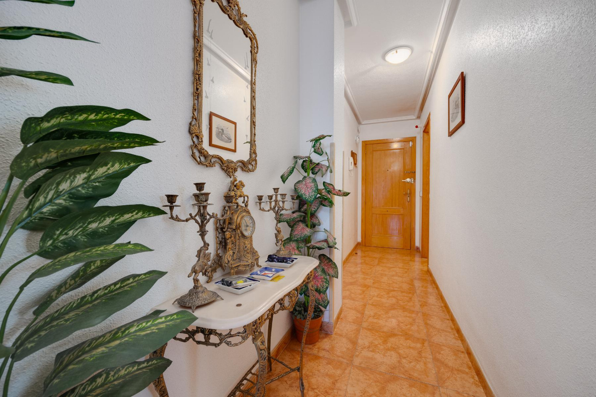 Herverkoop - Appartement  - Torrevieja - Centro