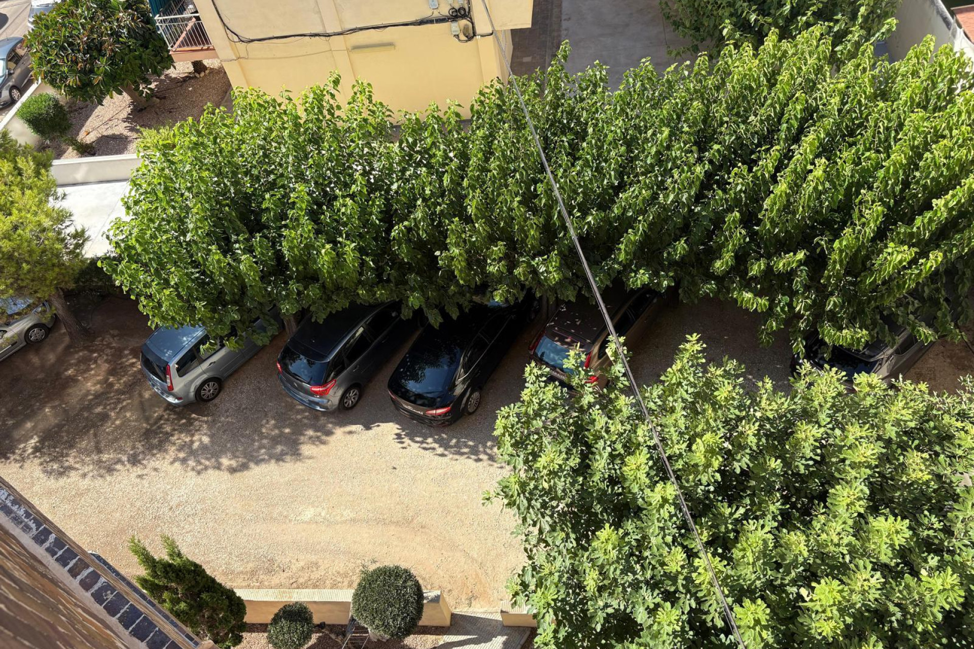 Herverkoop - Appartement  - Torrevieja - La Mata