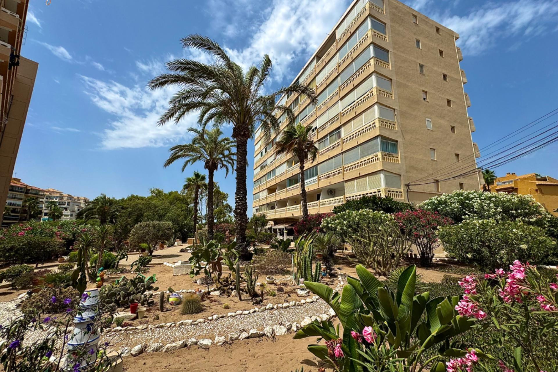 Herverkoop - Appartement  - Torrevieja - La Mata