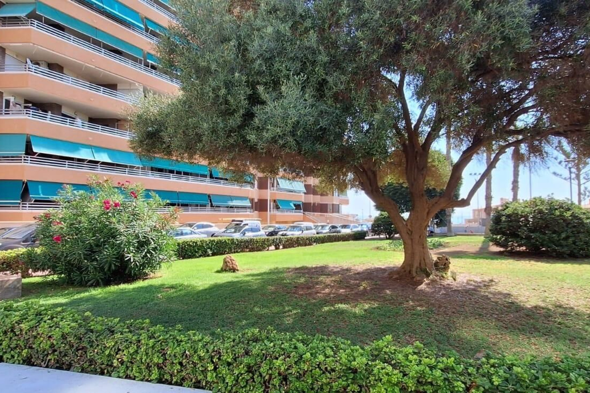Herverkoop - Appartement  - Torrevieja - La Mata