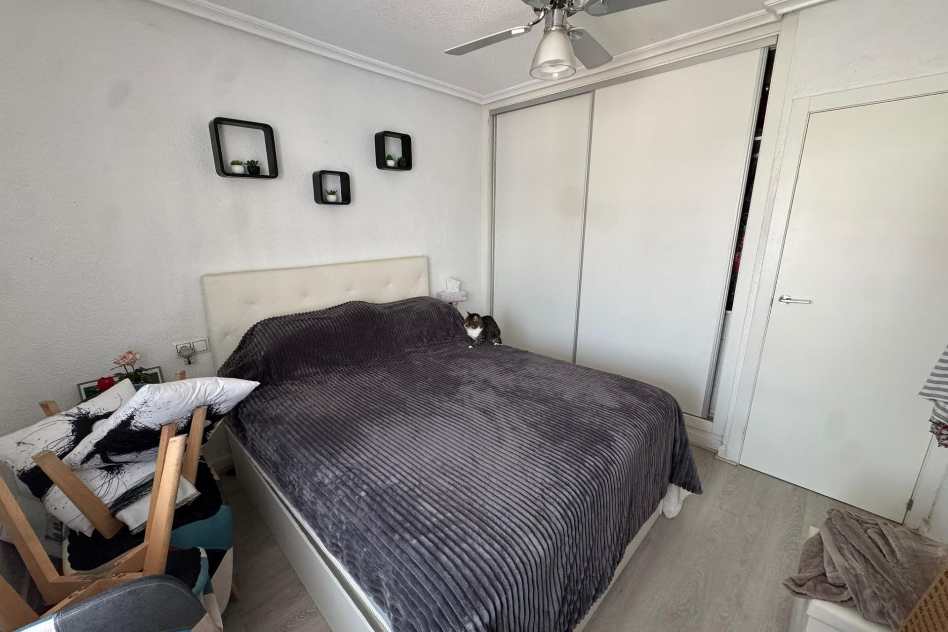 Herverkoop - Appartement - Torrevieja - La Siesta - El Salado - Torreta