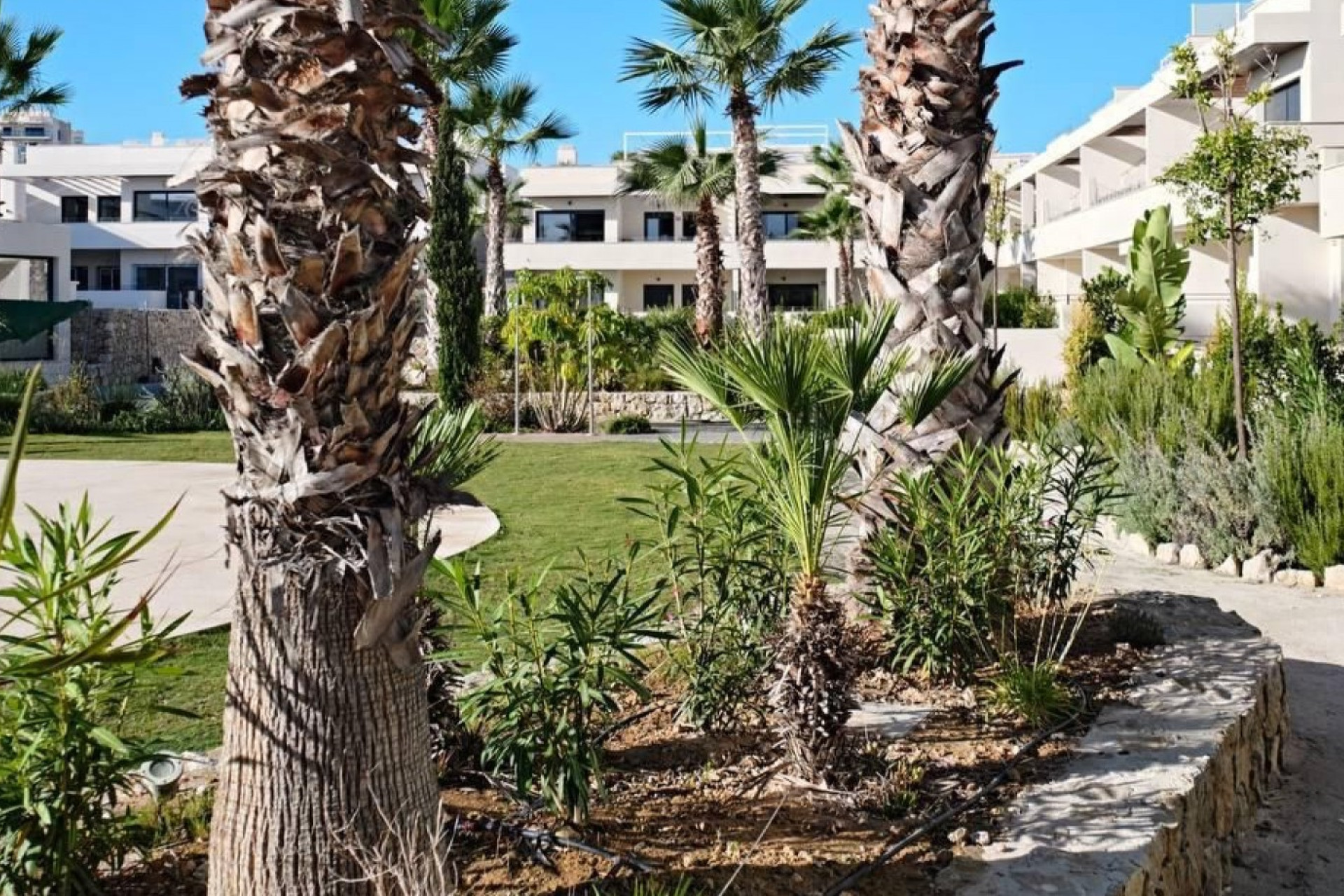 Herverkoop - Appartement  - Torrevieja - La Veleta