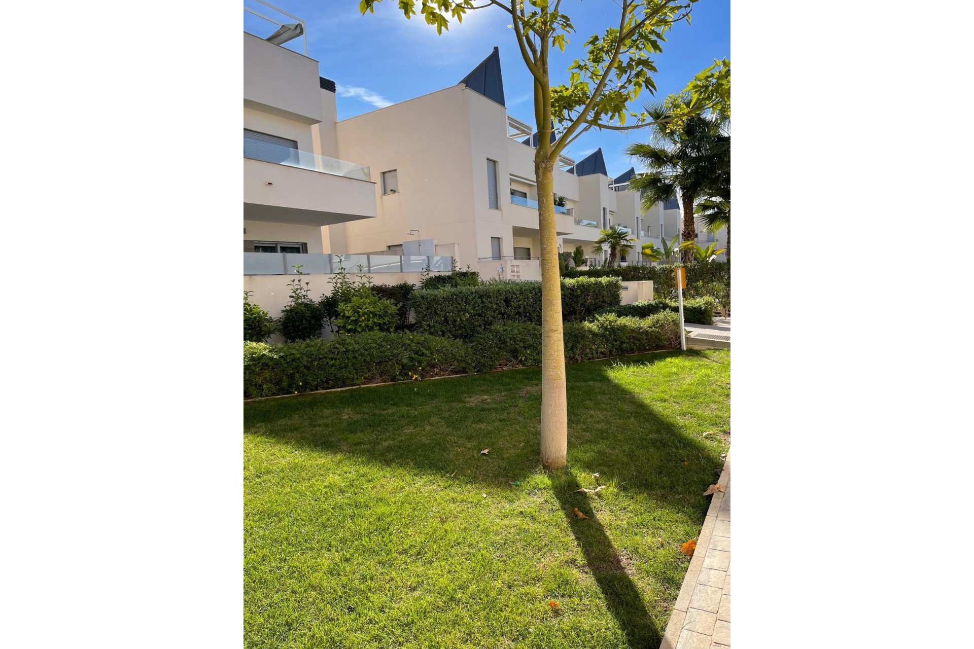 Herverkoop - Appartement - Torrevieja - La veleta