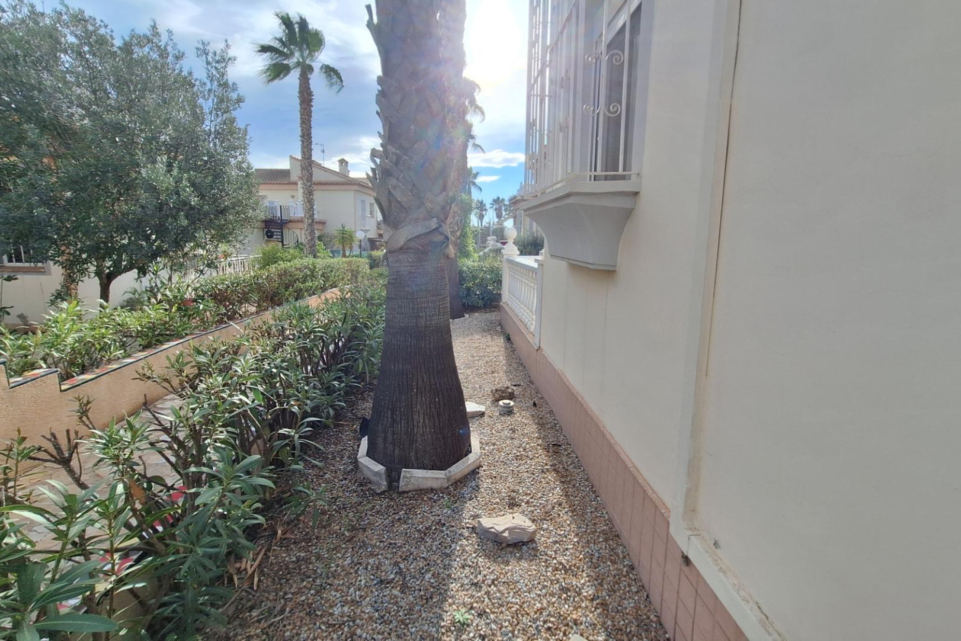 Herverkoop - Appartement - Torrevieja - Los Balcones - Los Altos del Edén