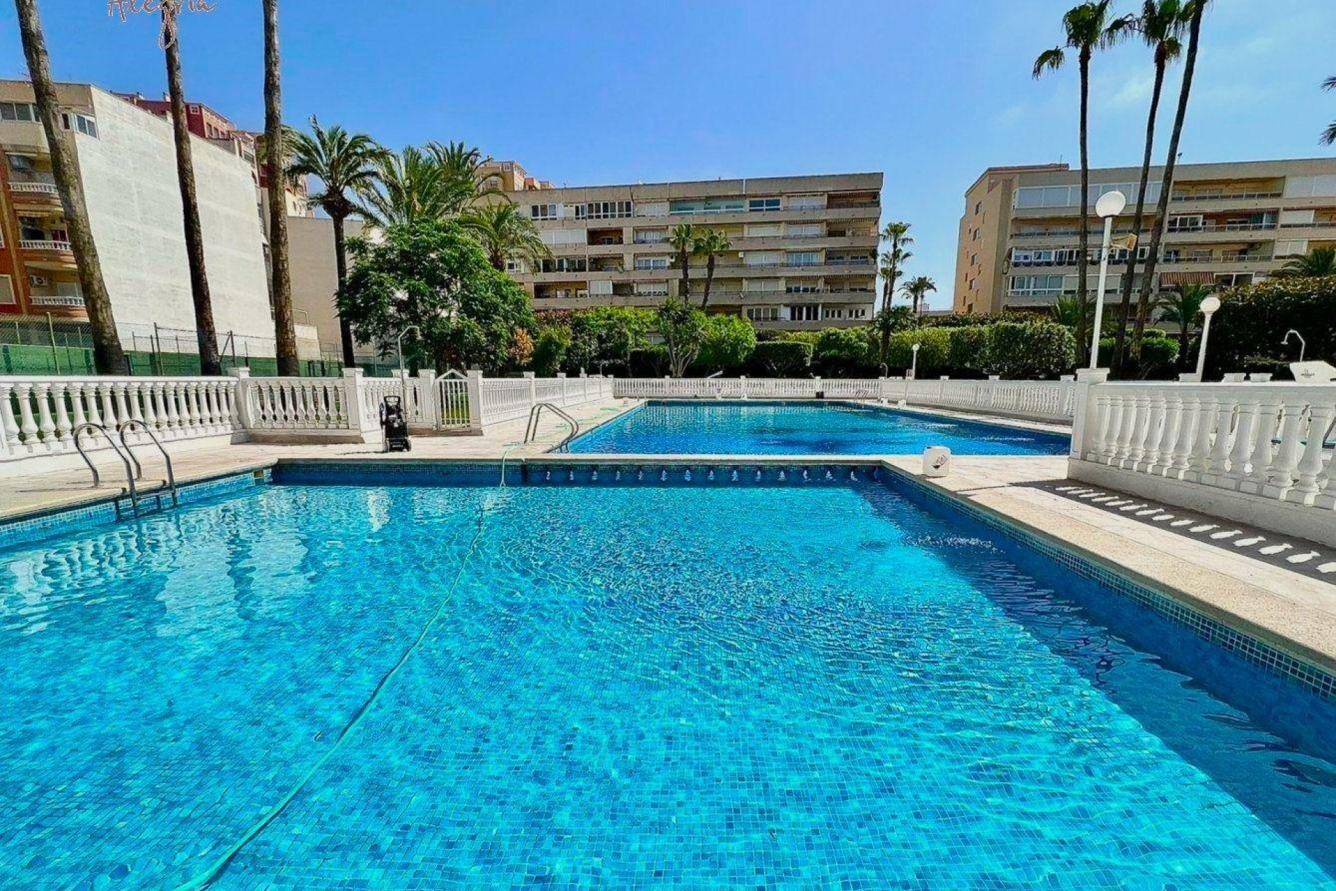 Herverkoop - Appartement  - Torrevieja - Los Frutales