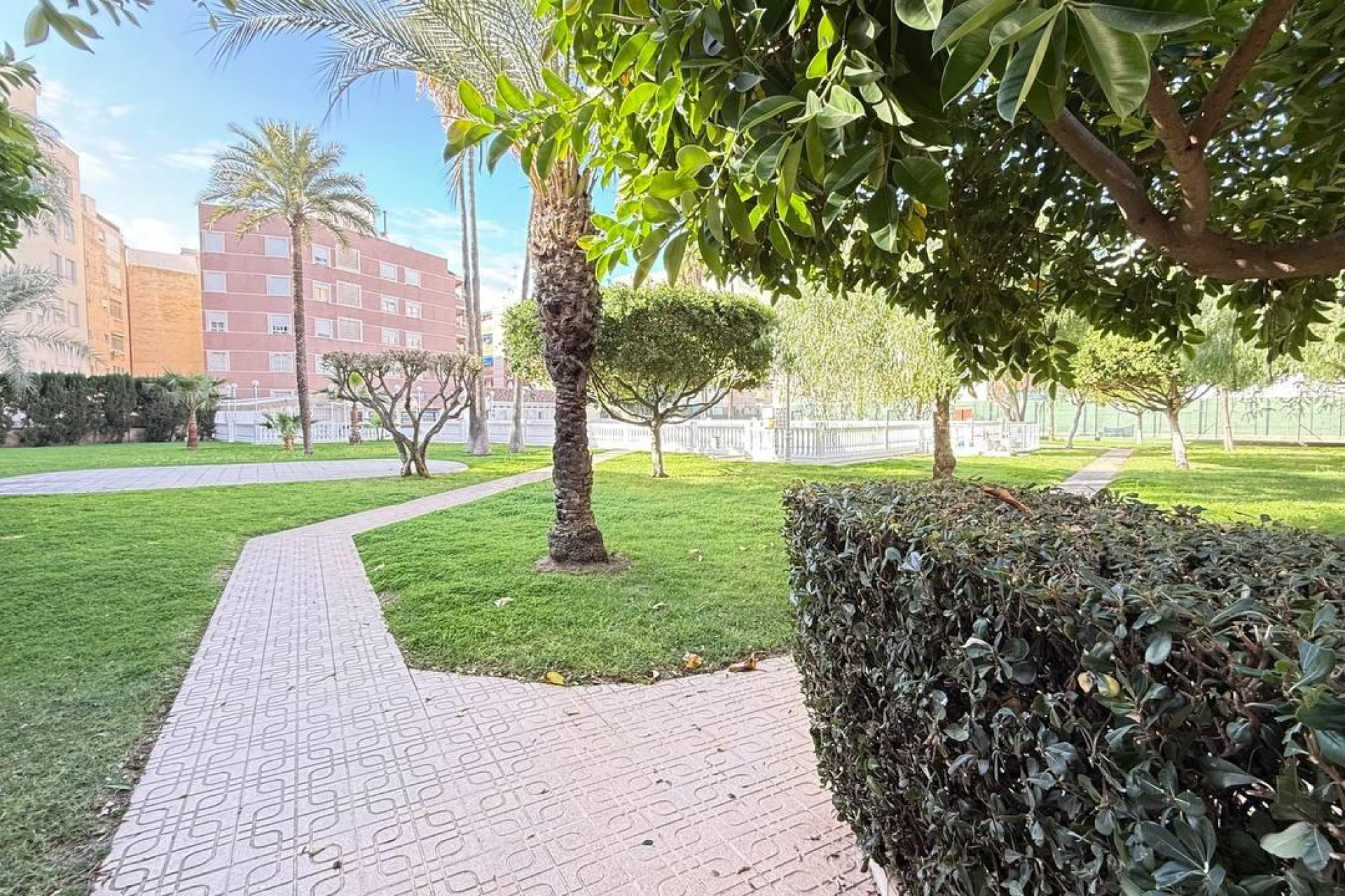 Herverkoop - Appartement  - Torrevieja - Los Frutales