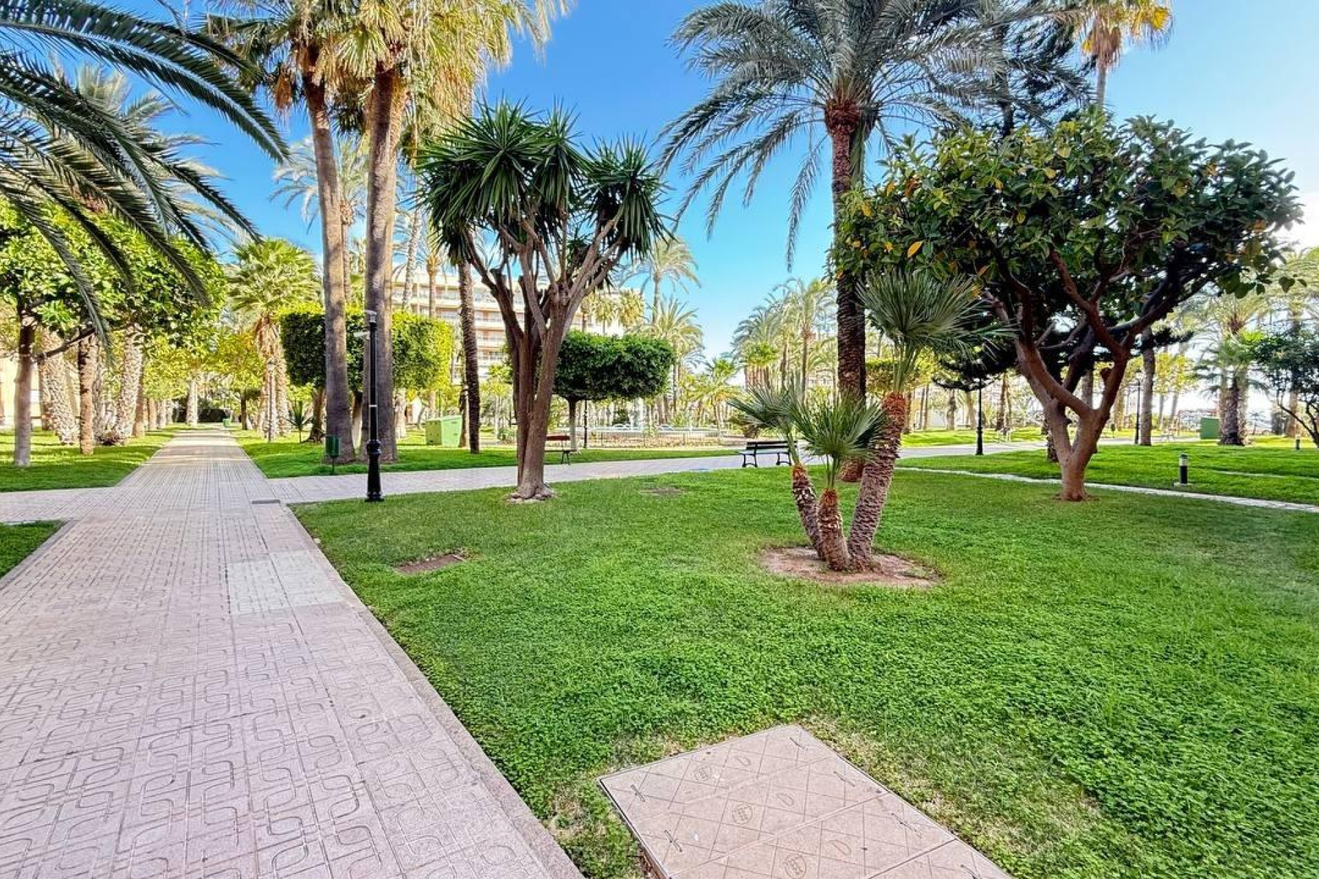 Herverkoop - Appartement  - Torrevieja - Los Frutales