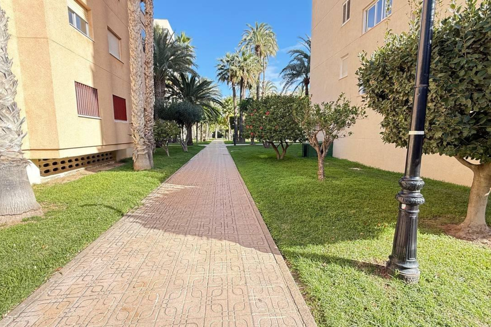 Herverkoop - Appartement  - Torrevieja - Los Frutales