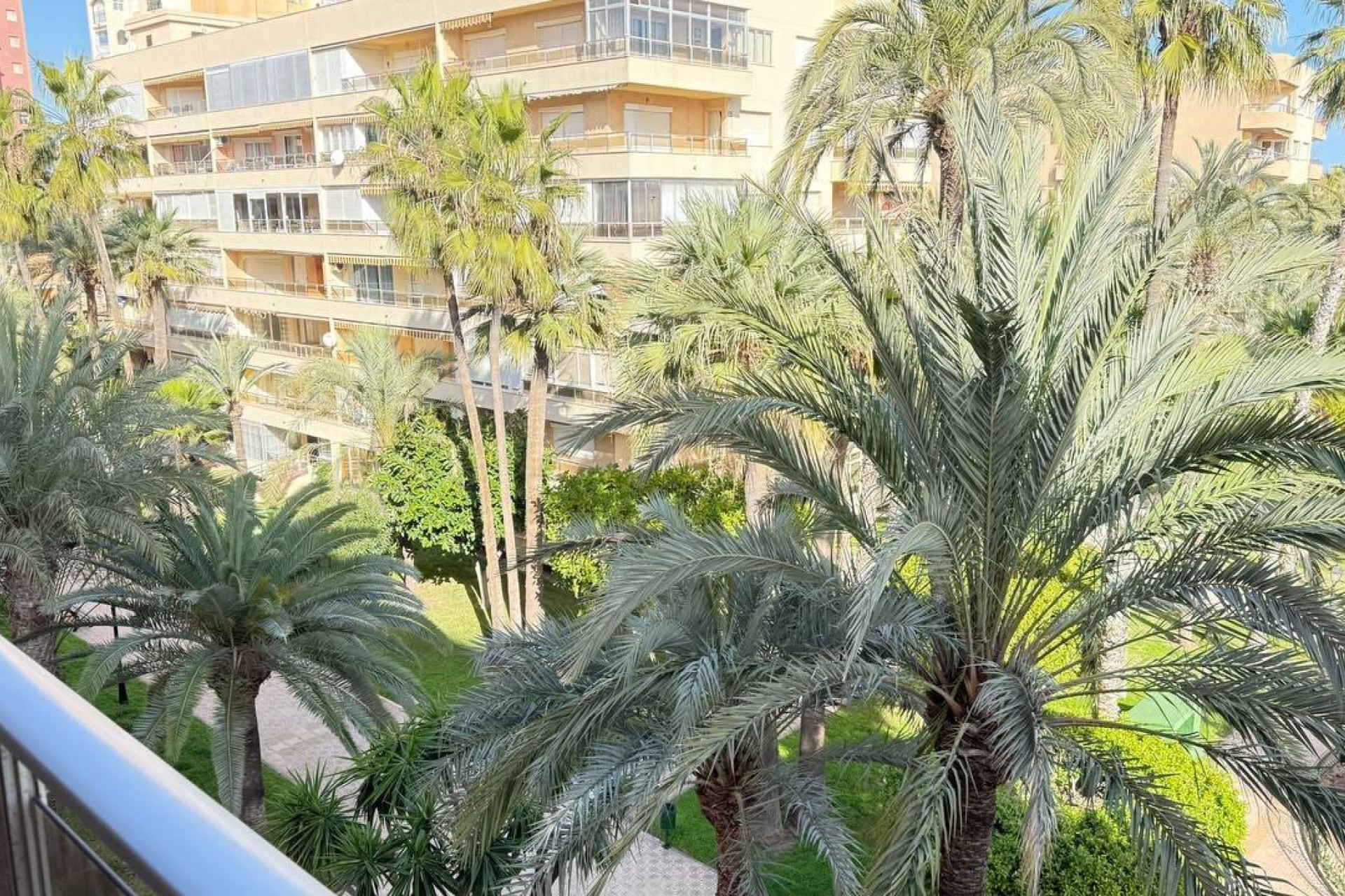 Herverkoop - Appartement  - Torrevieja - Los Frutales