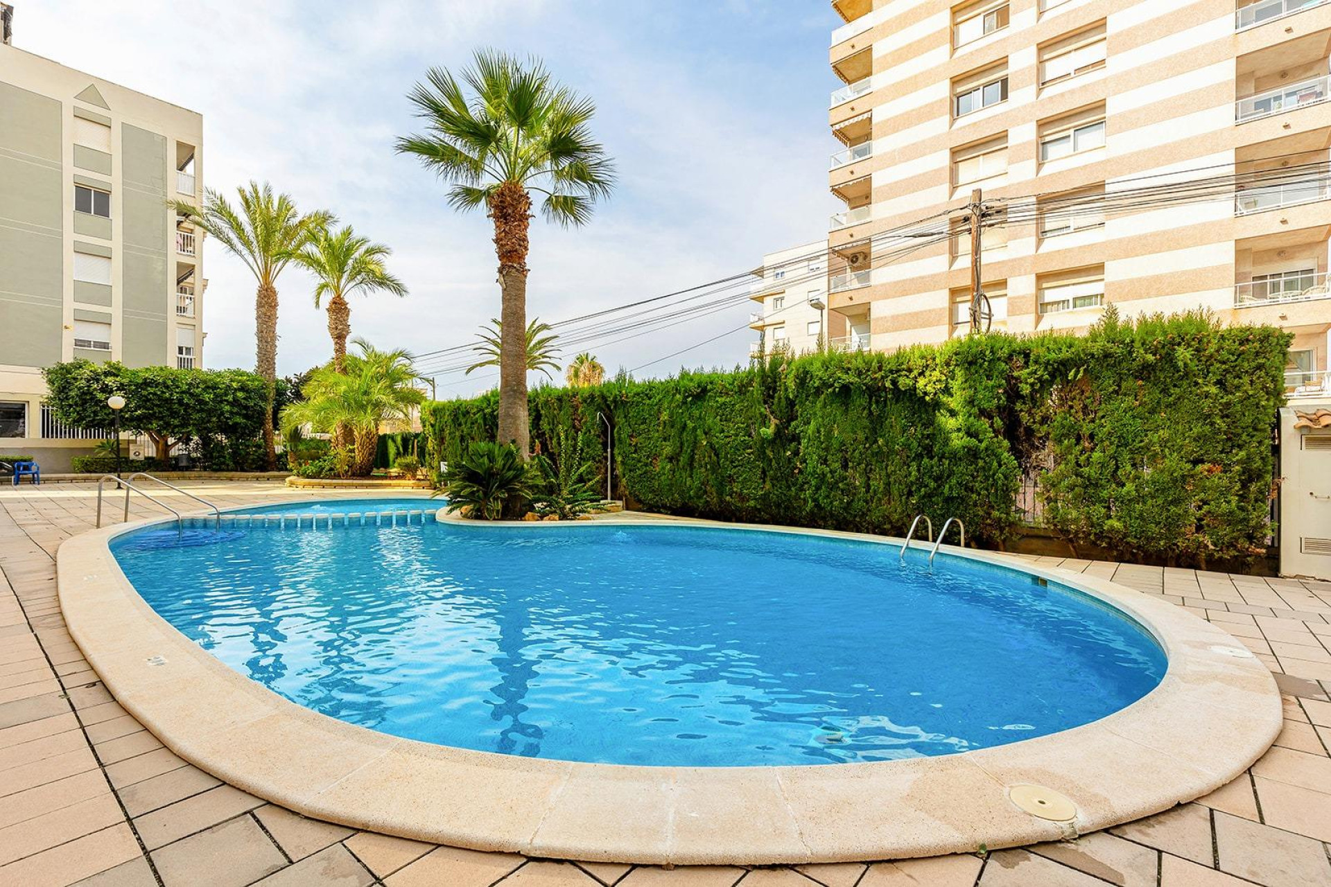 Herverkoop - Appartement  - Torrevieja - Nueva Torrevieja