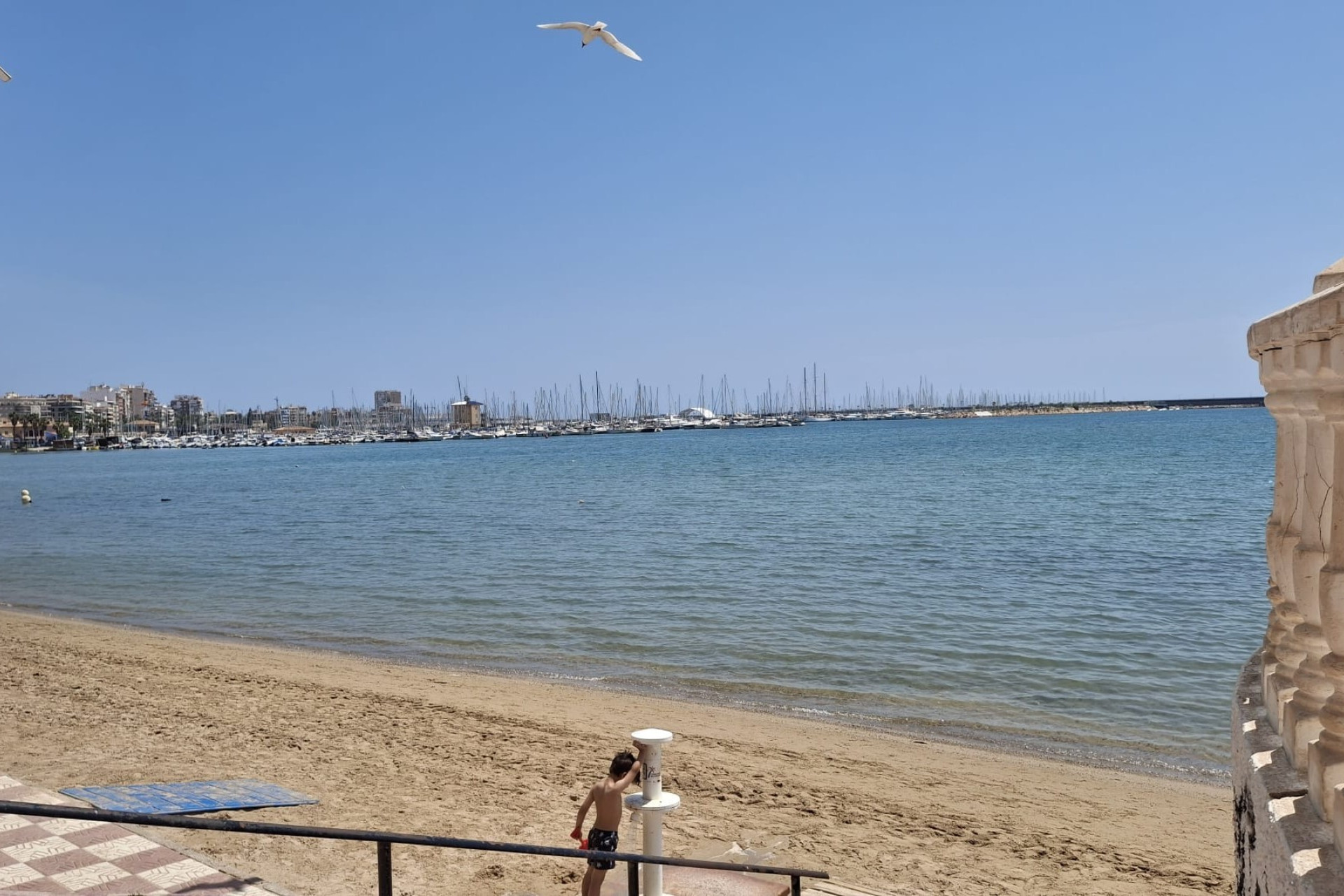 Herverkoop - Appartement  - Torrevieja - Playa Acequion