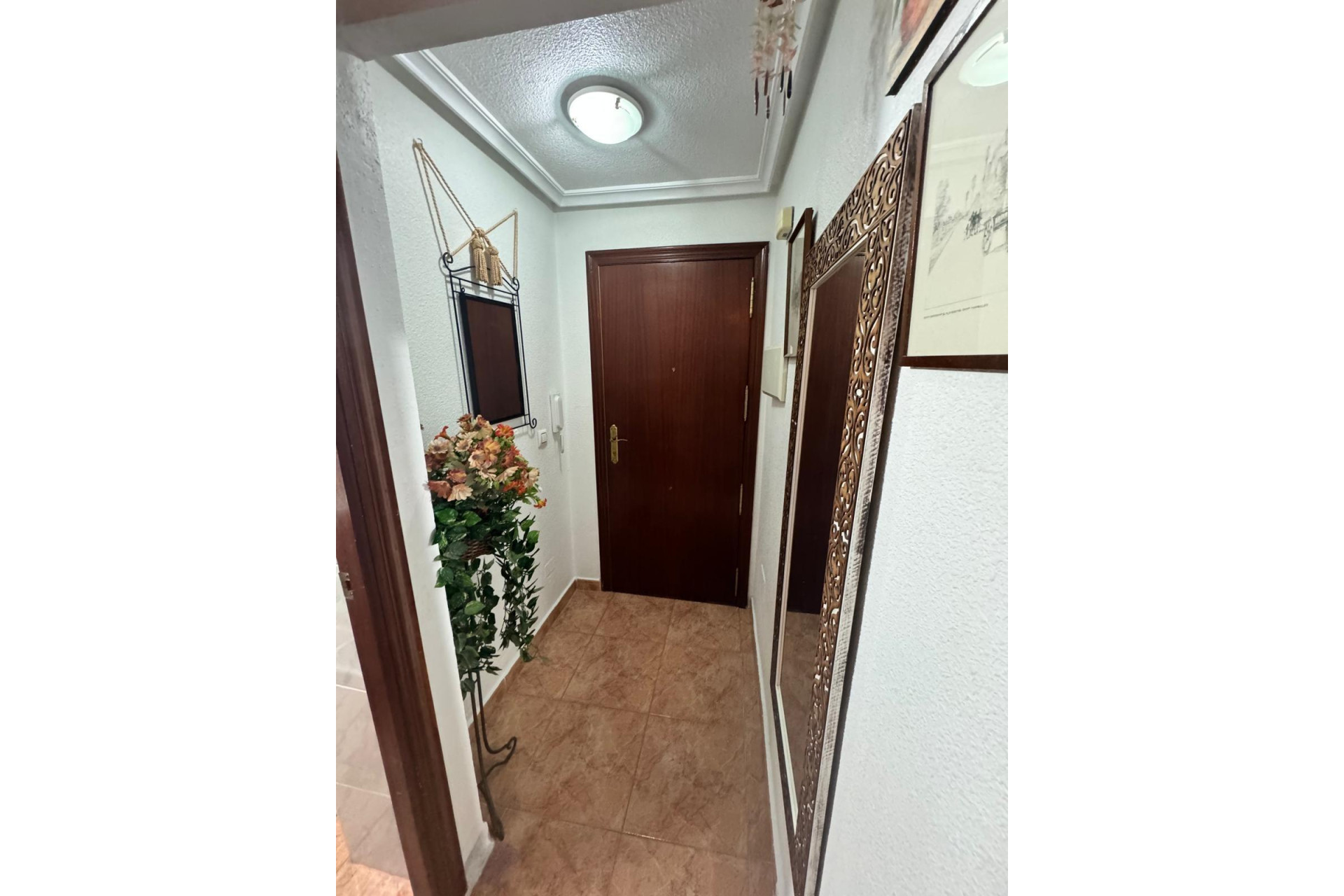 Herverkoop - Appartement  - Torrevieja - Playa del cura