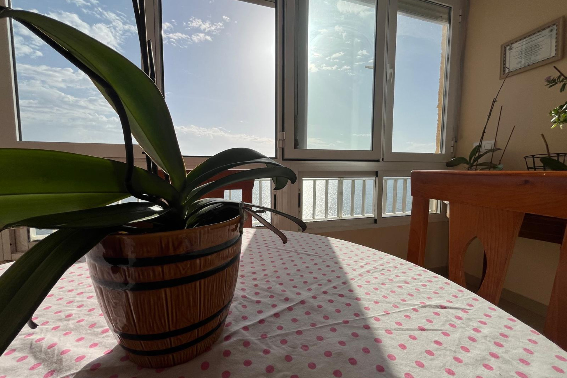 Herverkoop - Appartement  - Torrevieja - Playa del cura