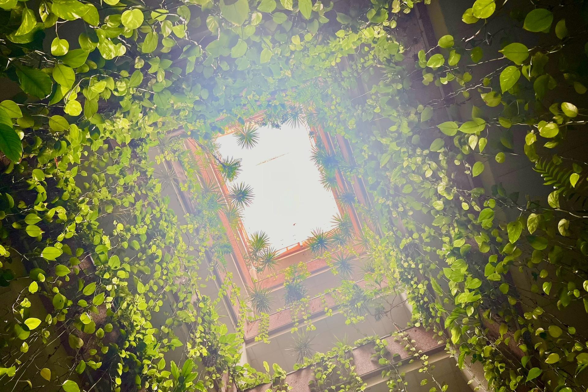 Herverkoop - Appartement  - Torrevieja - Playa del Cura