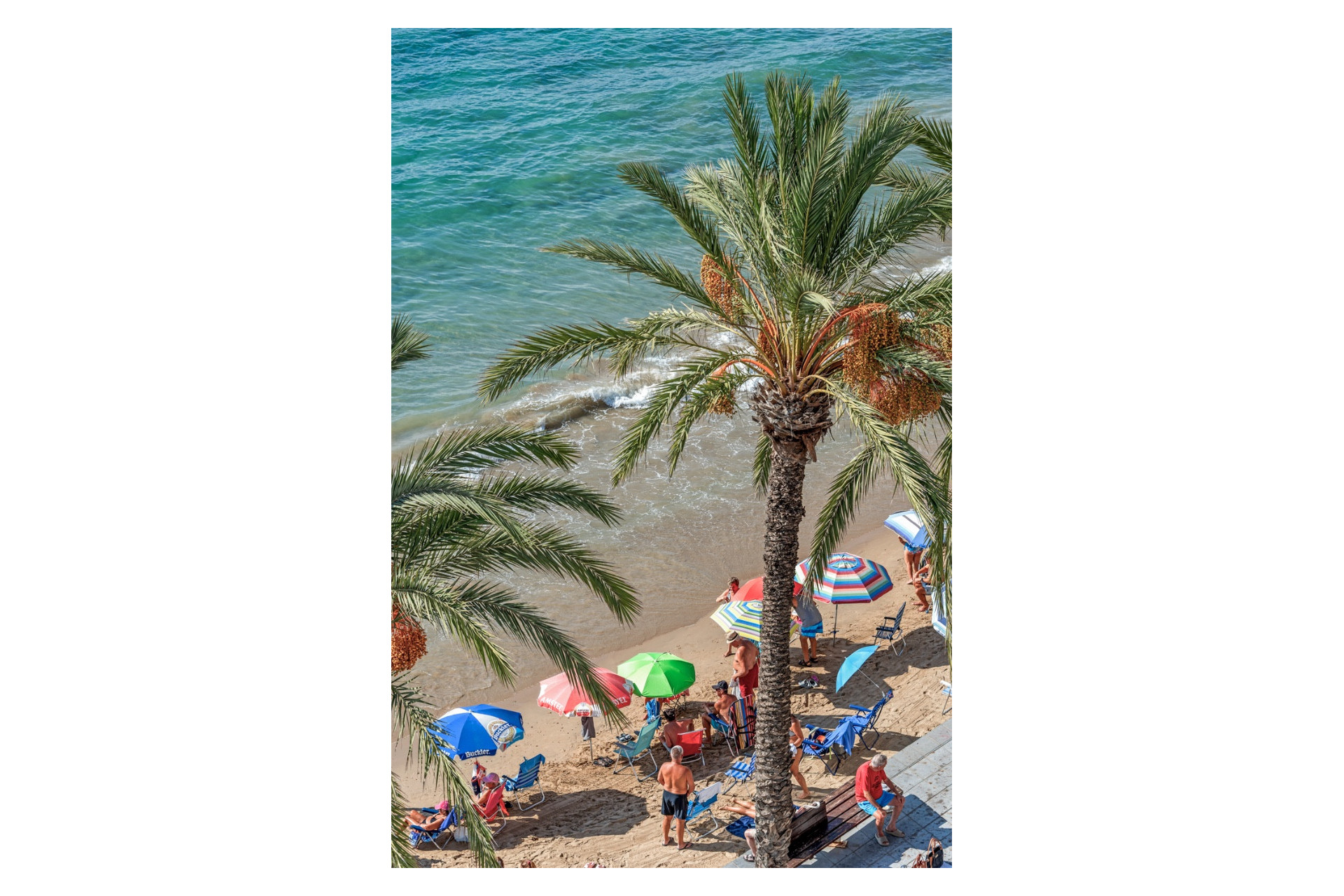 Herverkoop - Appartement  - Torrevieja - Playa Del Cura