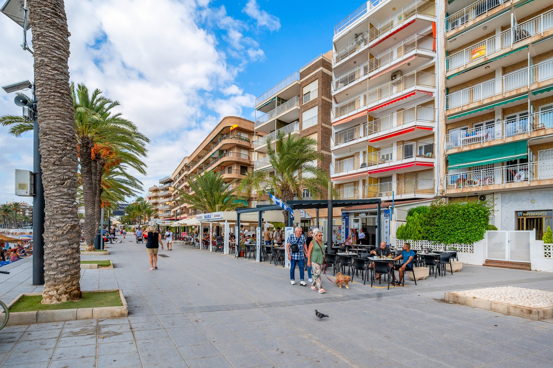 Herverkoop - Appartement  - Torrevieja - Playa Del Cura