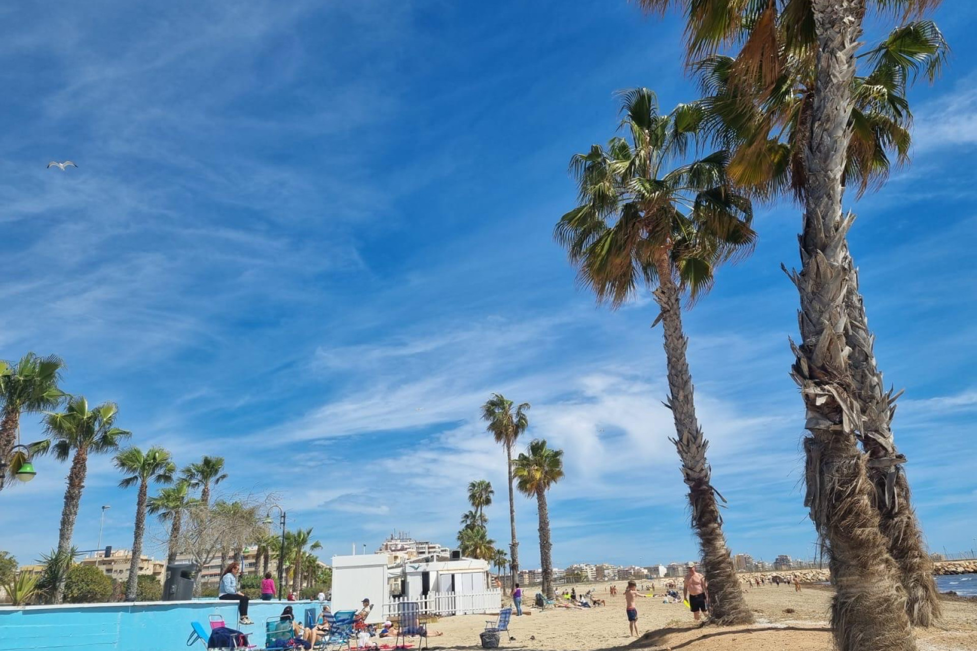Herverkoop - Appartement  - Torrevieja - Playa Los Naufragos