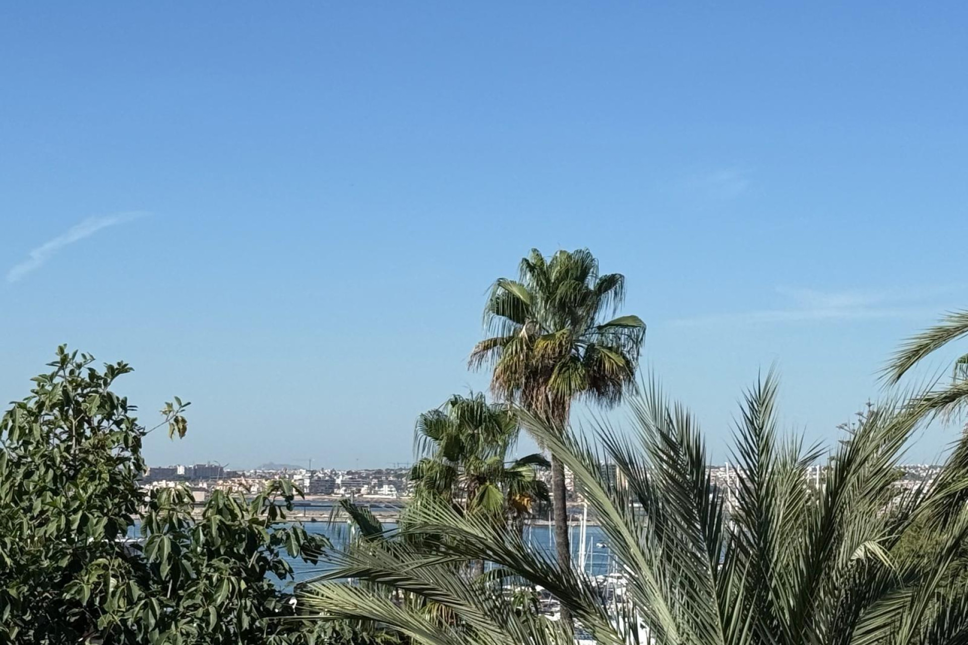 Herverkoop - Appartement  - Torrevieja - Puerto Deportivo