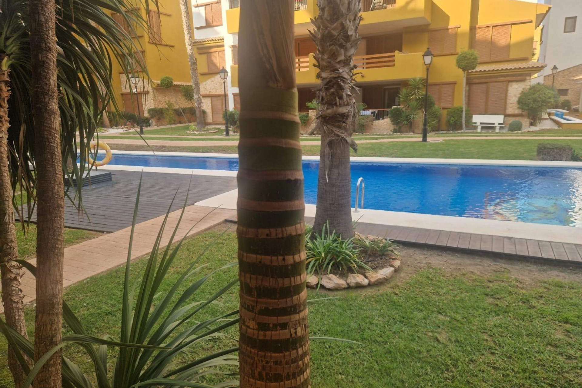 Herverkoop - Appartement  - Torrevieja - Punta prima