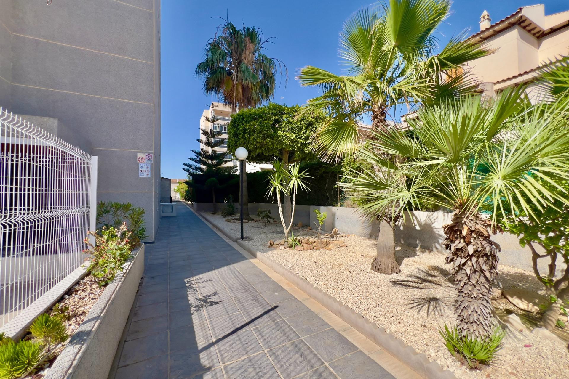 Herverkoop - Appartement  - Torrevieja - Torreblanca