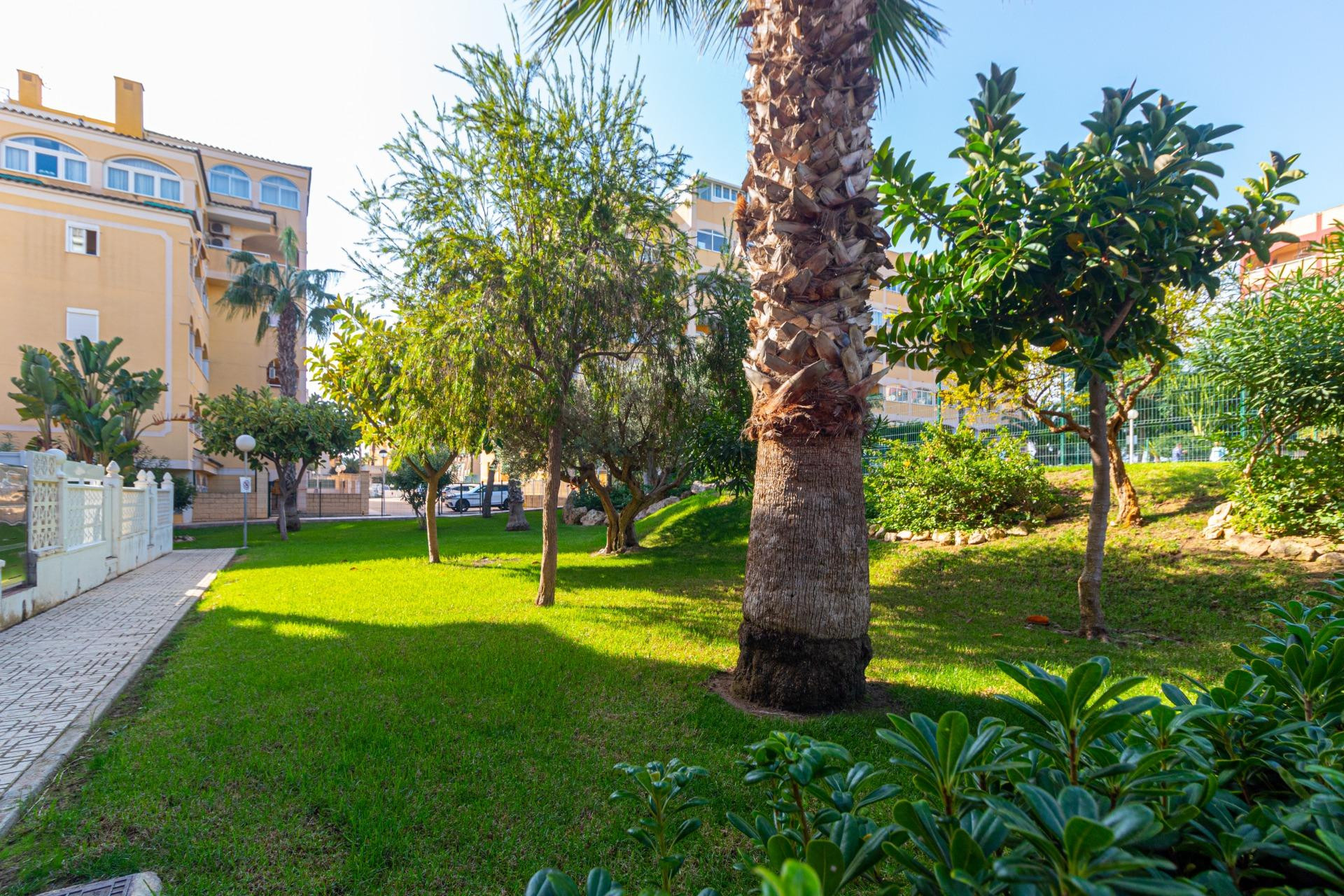 Herverkoop - Appartement  - Torrevieja - Torreblanca