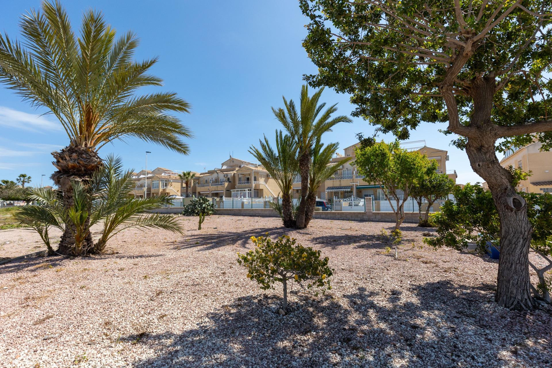 Herverkoop - Appartement - Torrevieja - Torretas