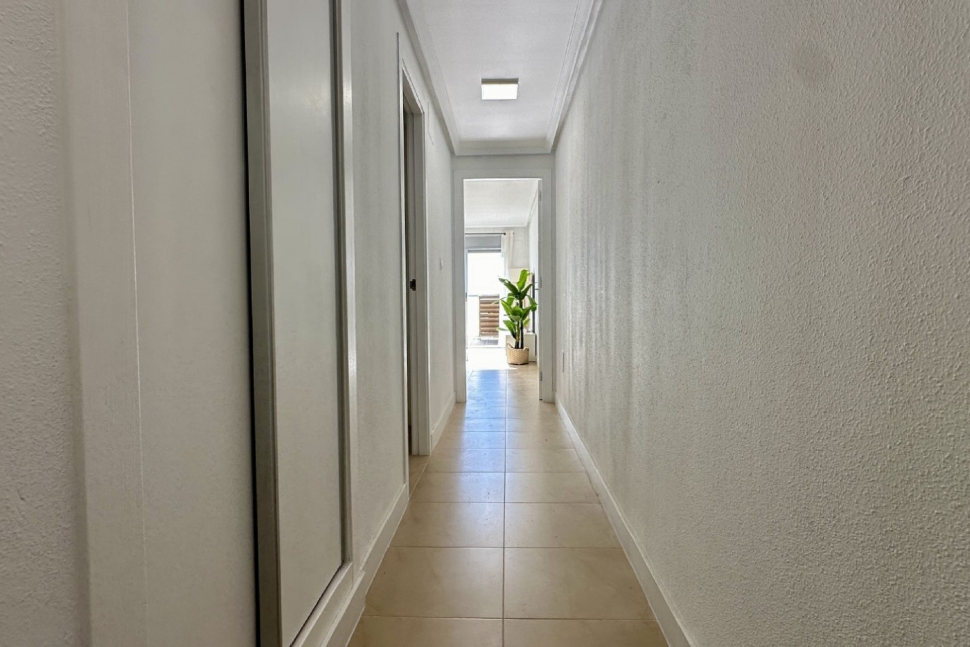Herverkoop - Appartement  - Torrevieja - Torrevieja - Centre