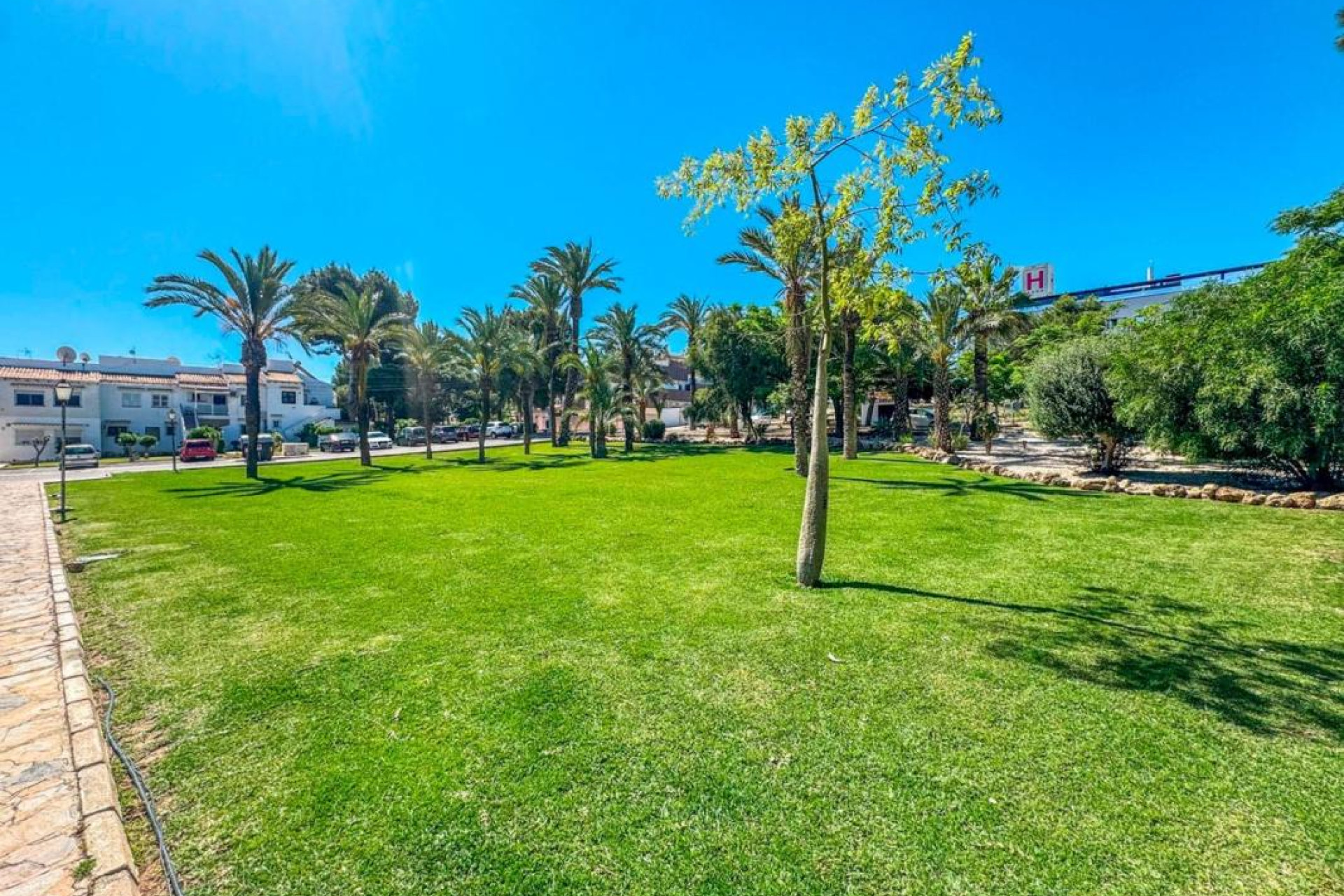Herverkoop - Appartement  - Torrevieja - torrevieja