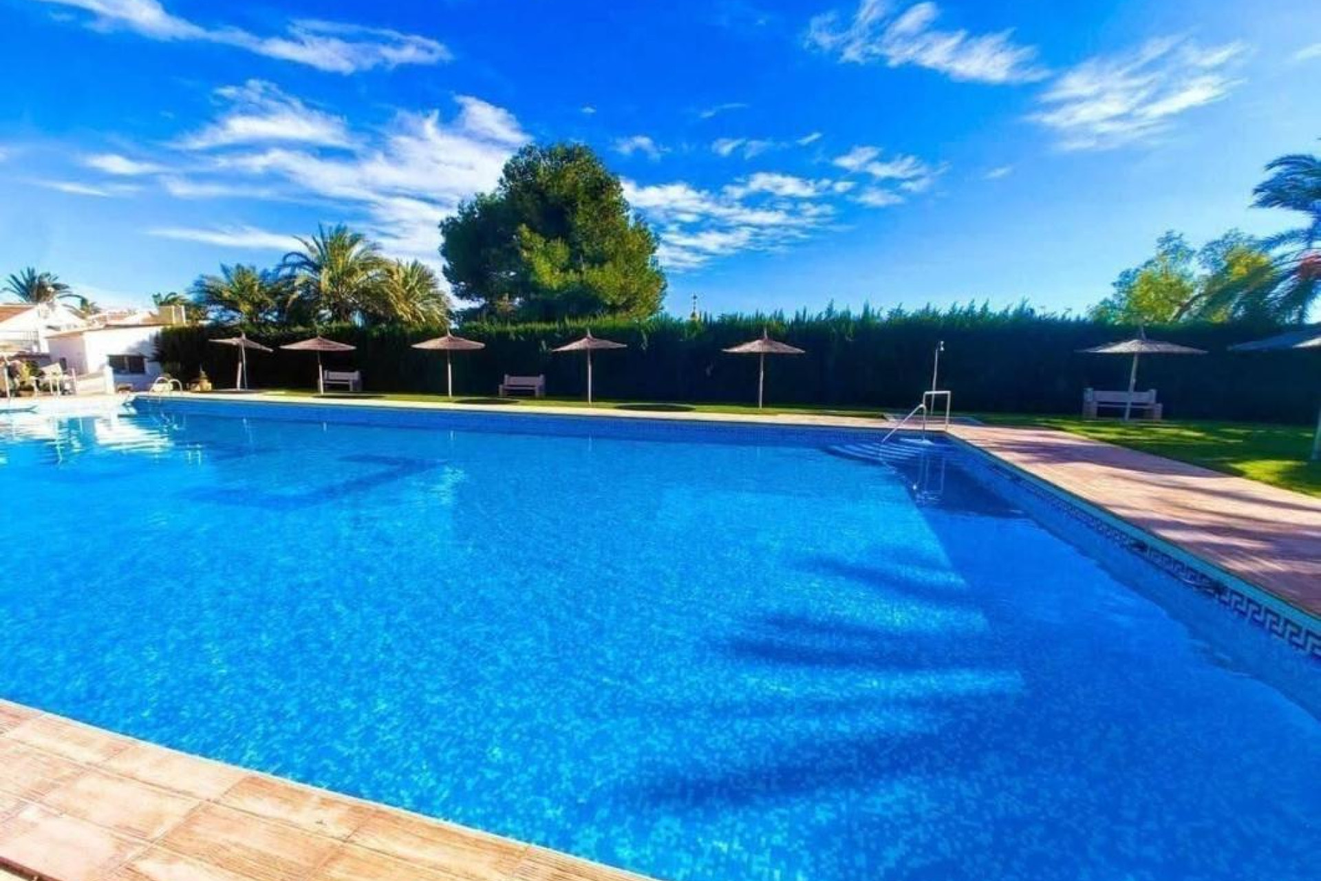 Herverkoop - Appartement  - Torrevieja - torrevieja