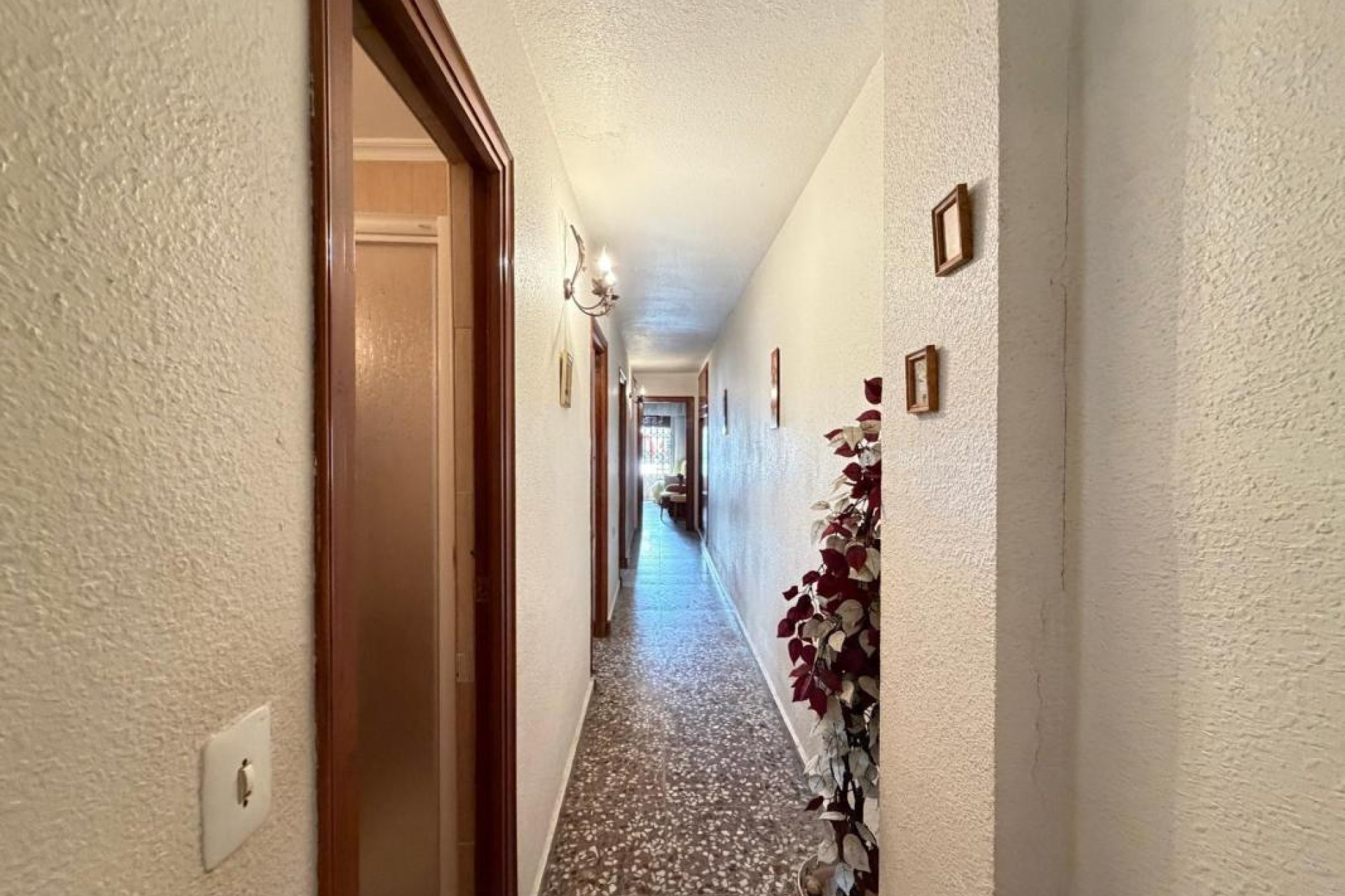 Herverkoop - Appartement  - Torrevieja - torrevieja