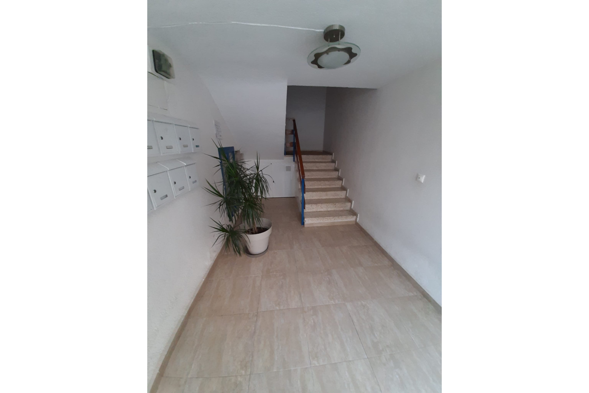 Herverkoop - Appartement  - Torrevieja