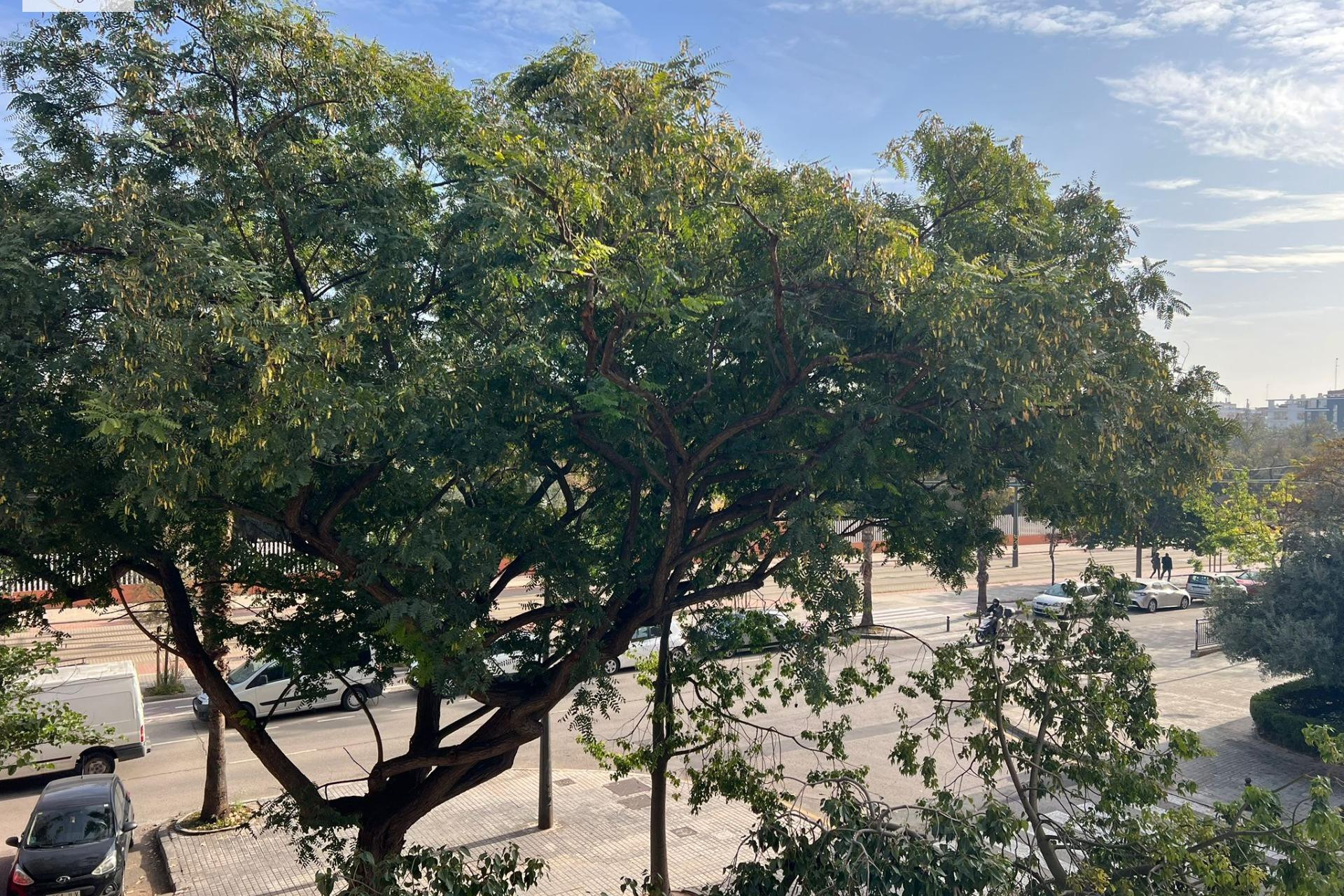 Herverkoop - Appartement  - Valencia - Marxalenes