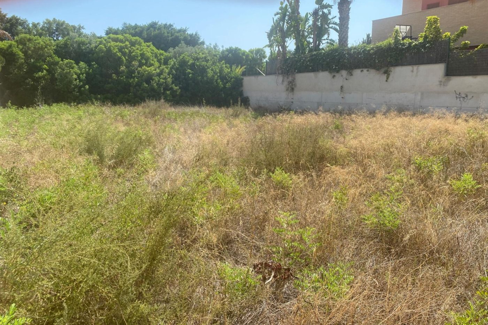 Herverkoop - Bouwgrond - Alicante - Alicante Golf