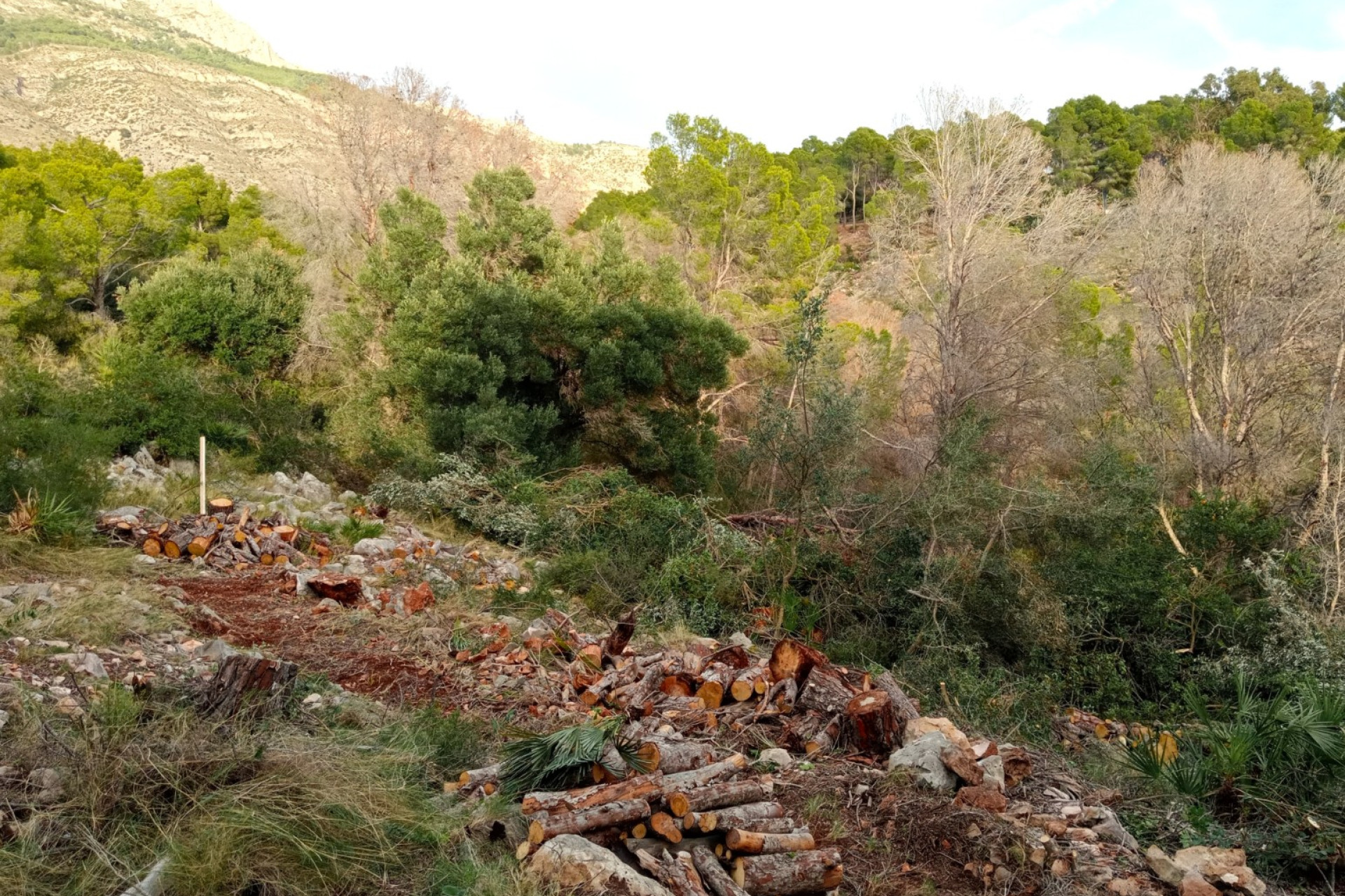 Herverkoop - Bouwgrond - Altea