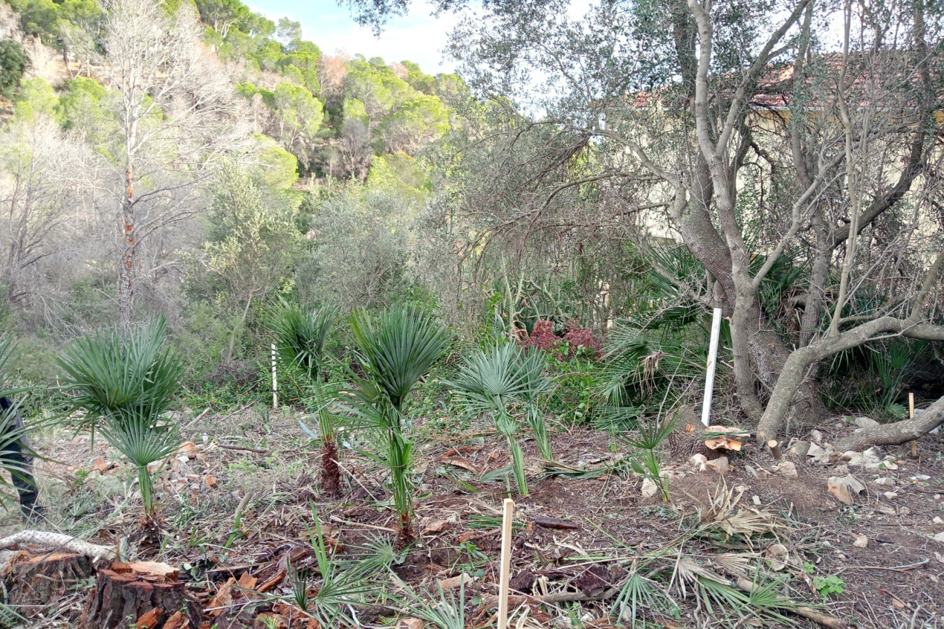 Herverkoop - Bouwgrond - Altea
