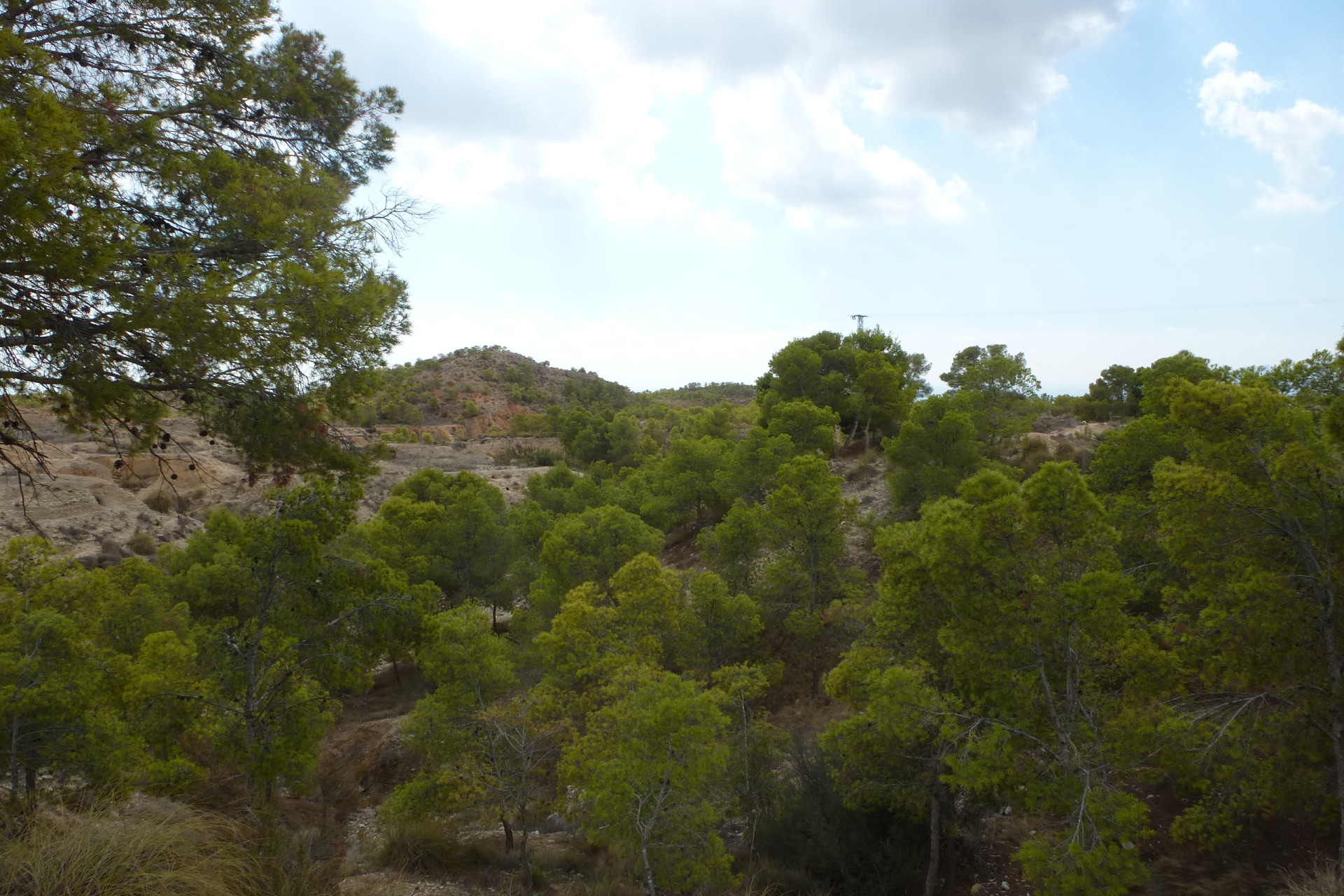 Herverkoop - Bouwgrond - Crevillente - Crevillente - Country