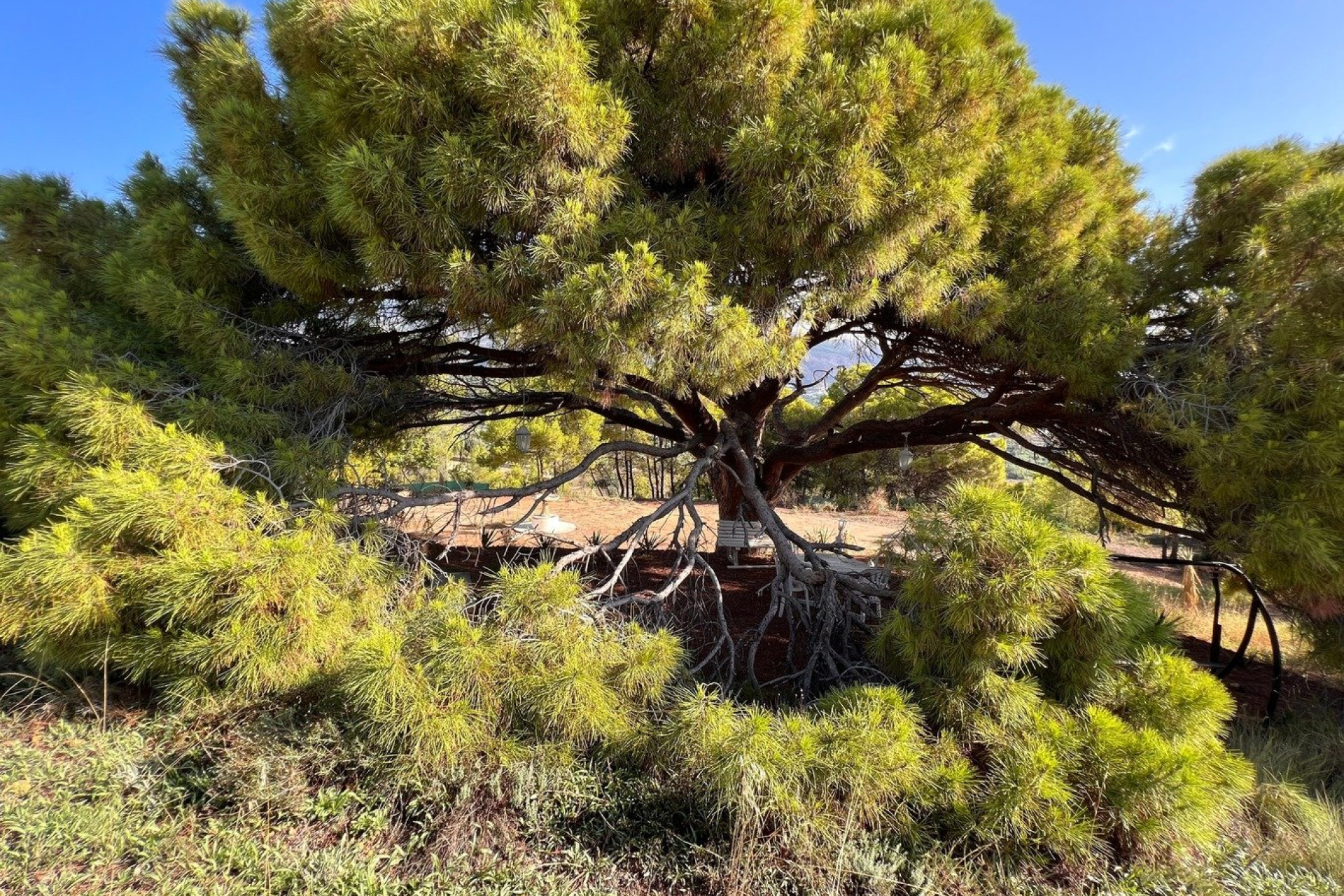 Herverkoop - land - Altea